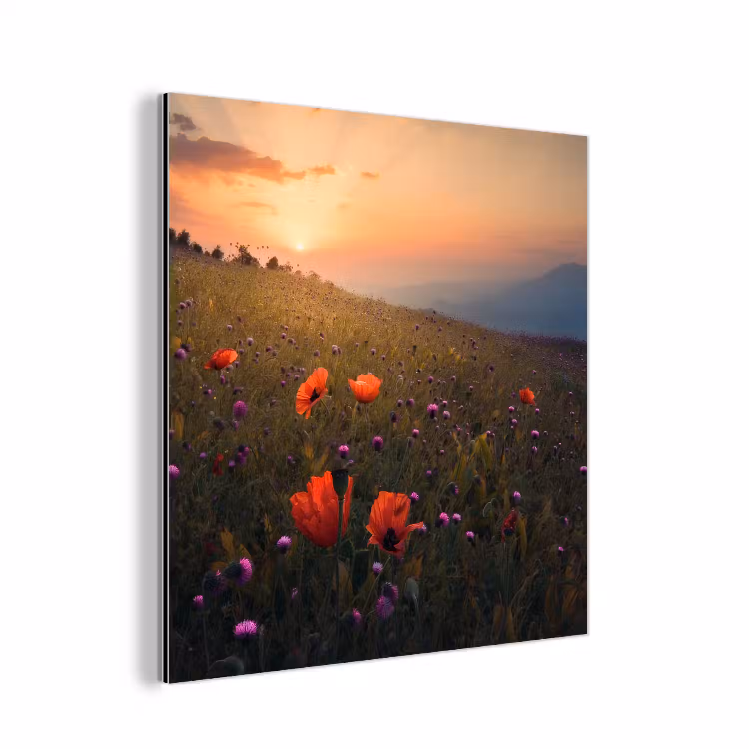 Bloemenveld - Gras - Bloemen - Planten - Zonsondergang - Oranje aluminium wit klein -3d