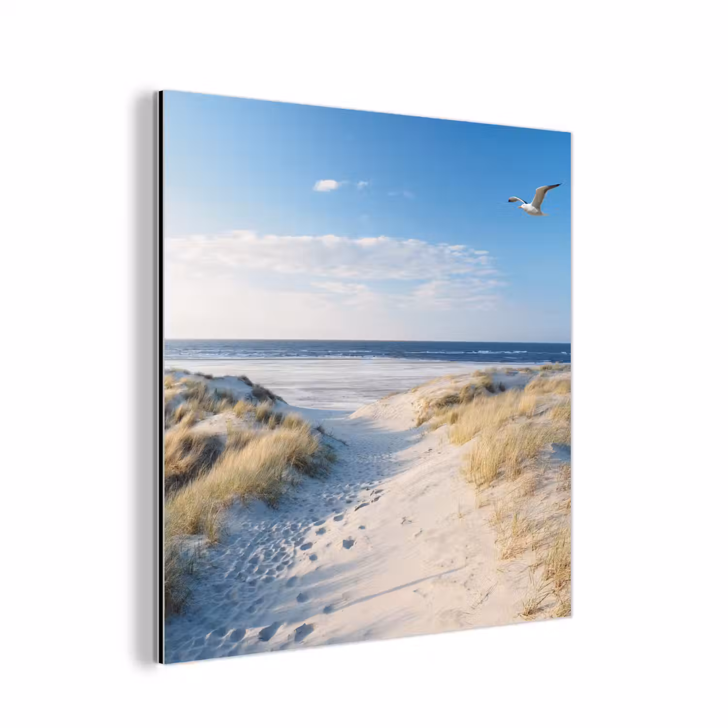 Duin - Meeuw - Strand - Zee - Zon aluminium wit klein -3d
