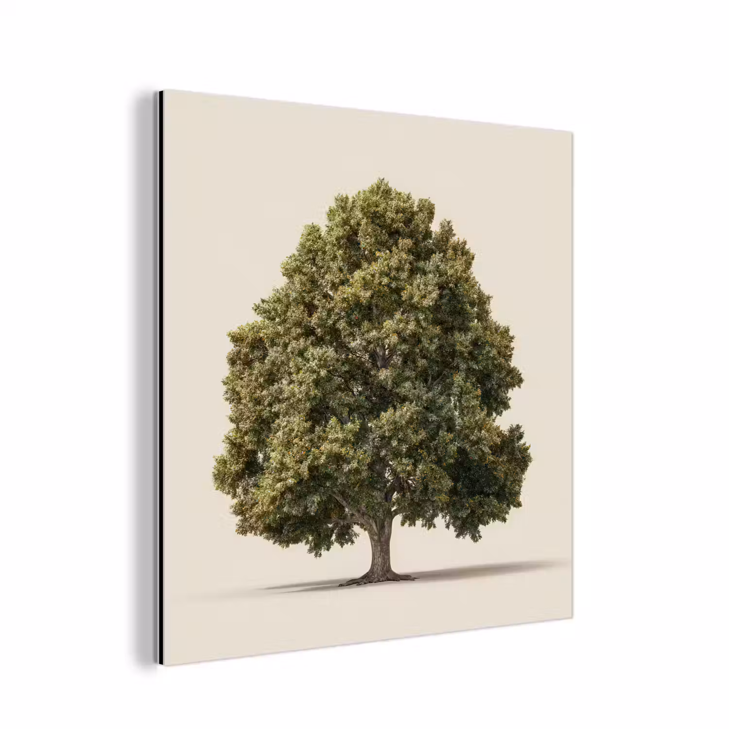 Eikenboom - Groen - Lichte achtergrond aluminium wit klein -3d