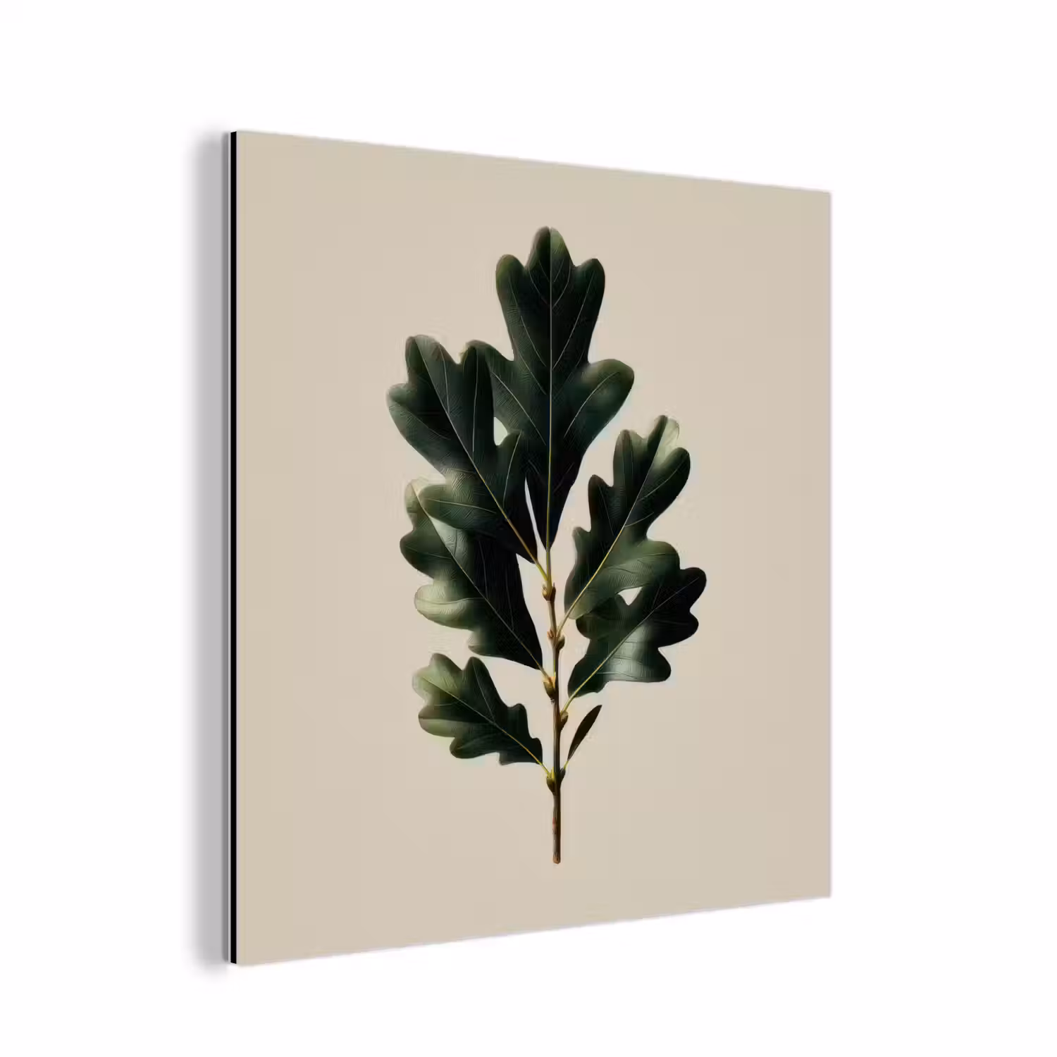 Eikenbladeren - Beige - Groen - Golvende randen aluminium wit klein -3d