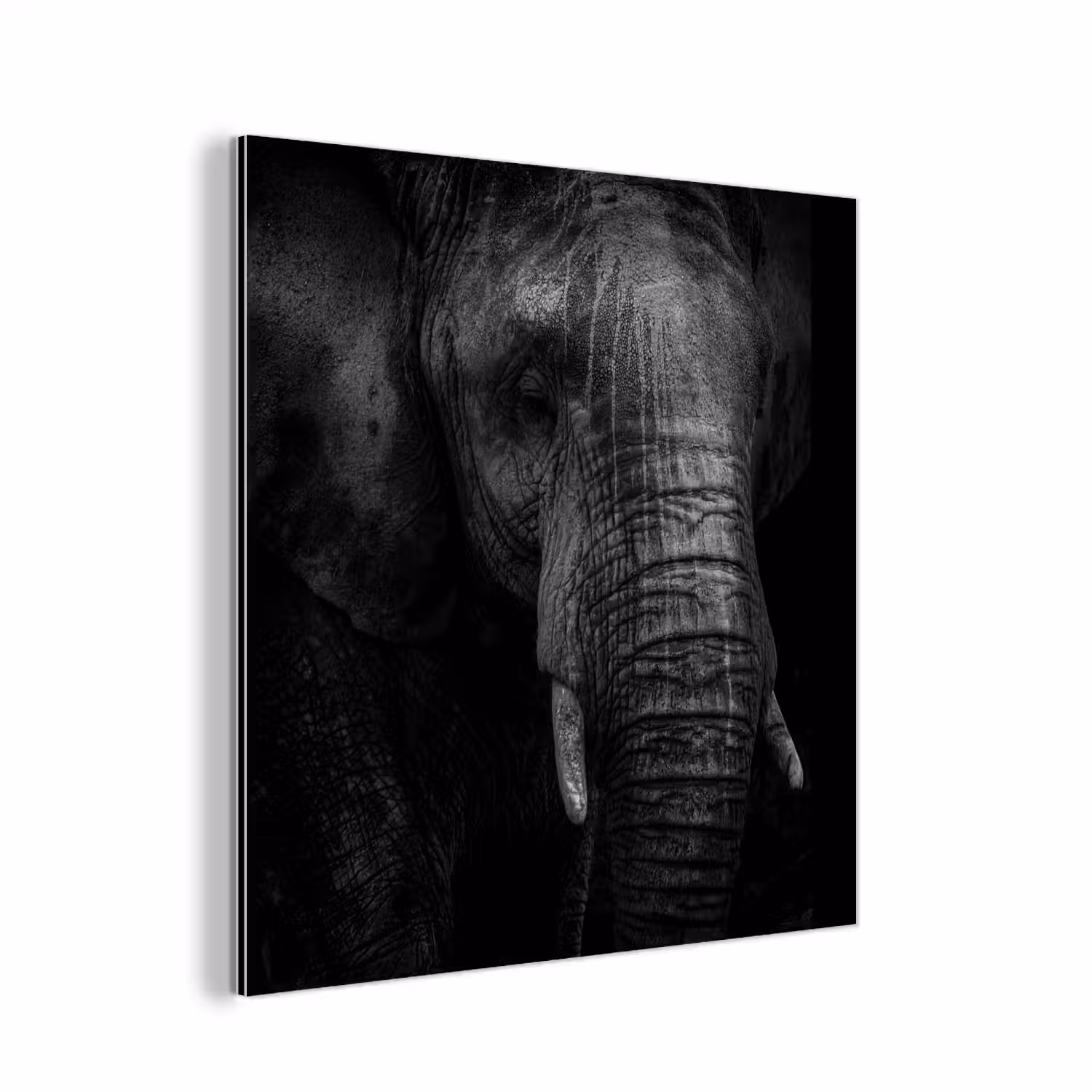 Olifant - Dier - Portret aluminium wit klein -3d