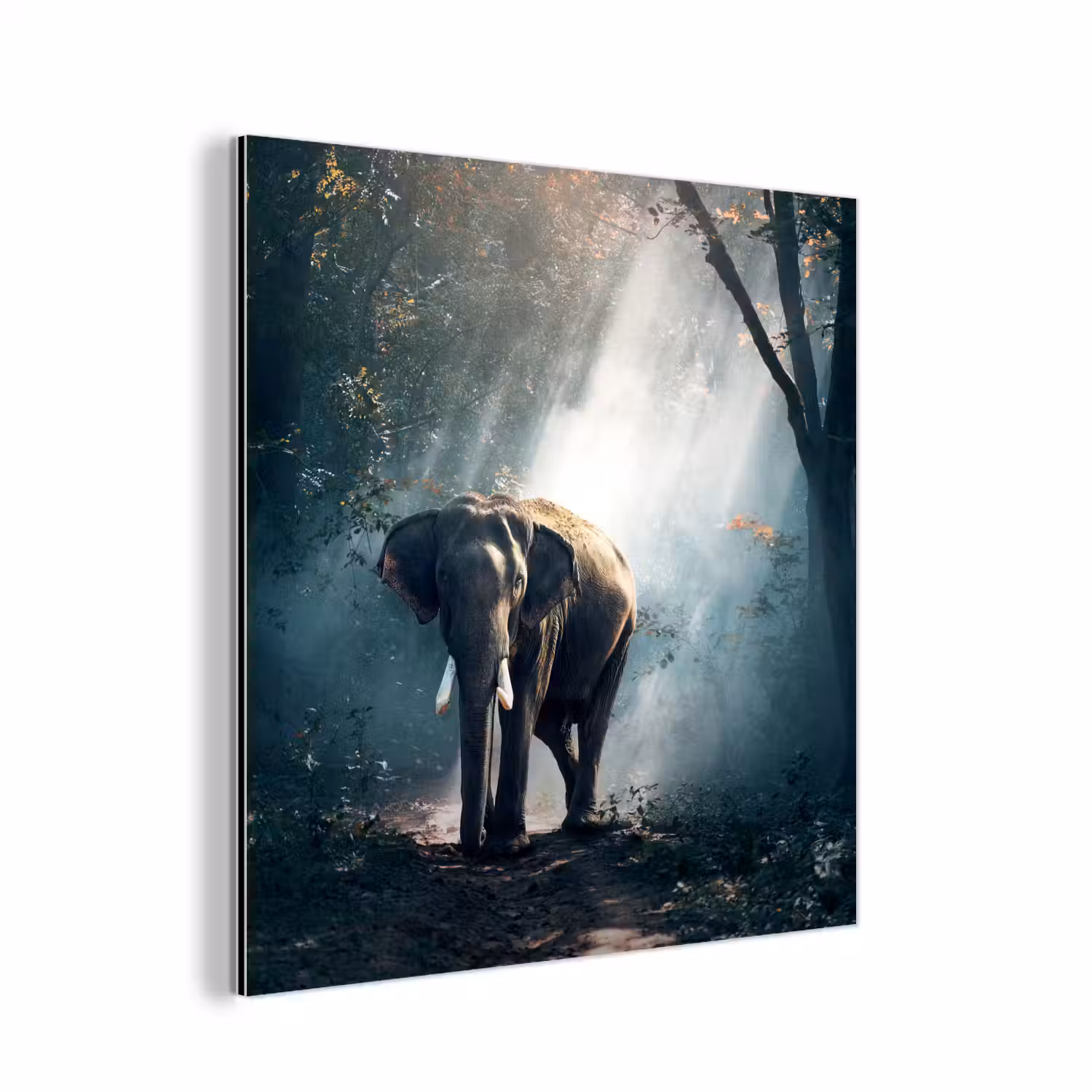 Olifant - Dieren - Licht - Bos - Natuur - Wilde dieren aluminium wit klein -3d
