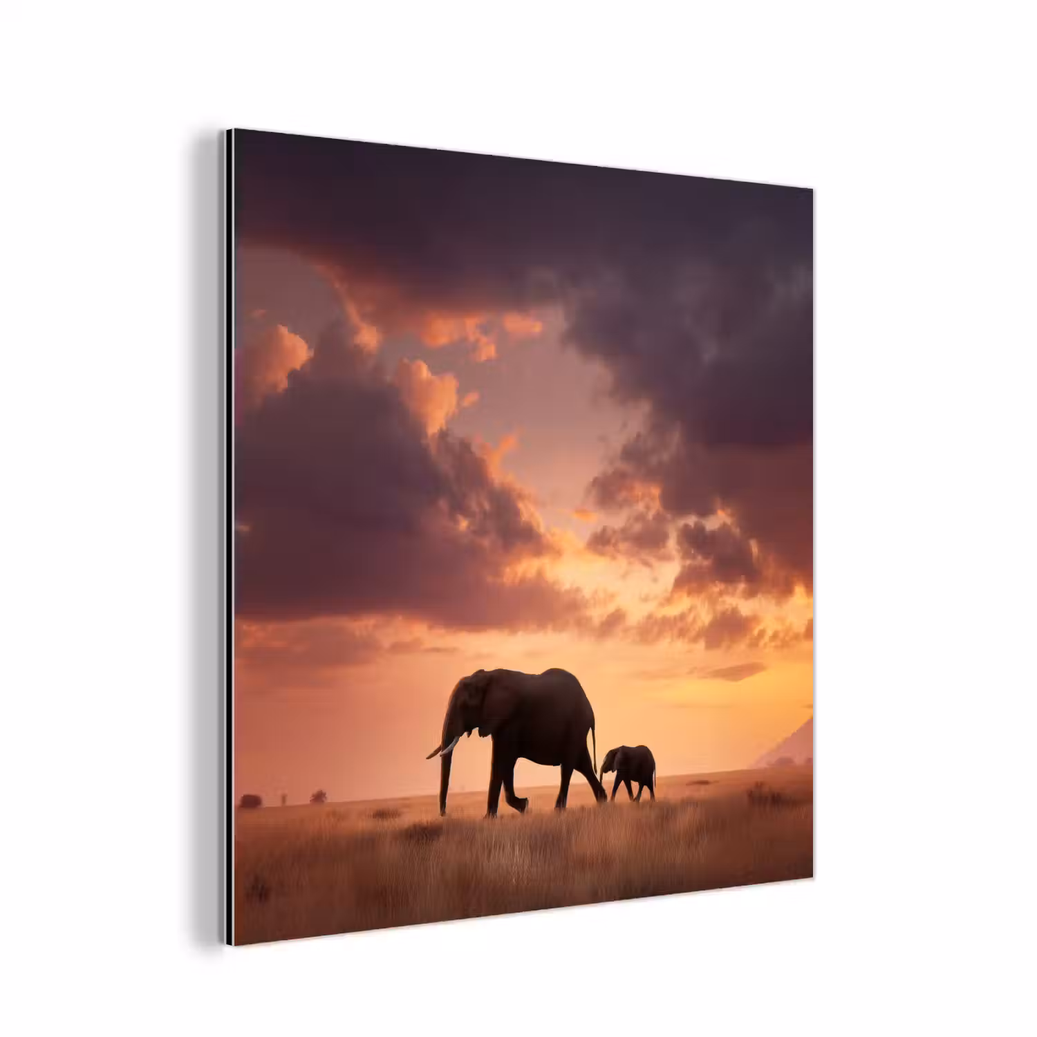 Olifanten - Grasland - Zonsondergang aluminium wit klein -3d