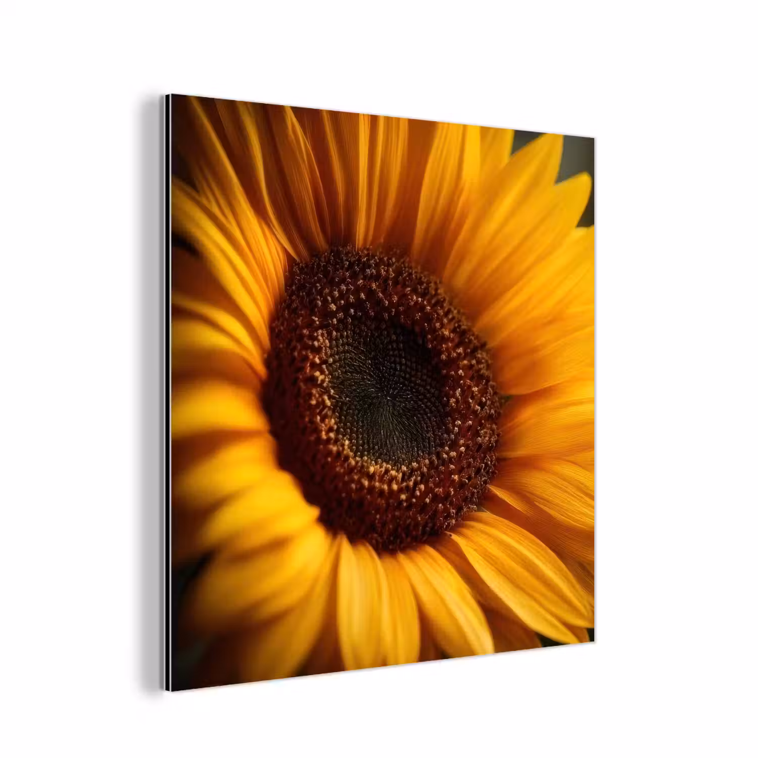 Geel - Zonnebloem - Zomers aluminium wit klein -3d