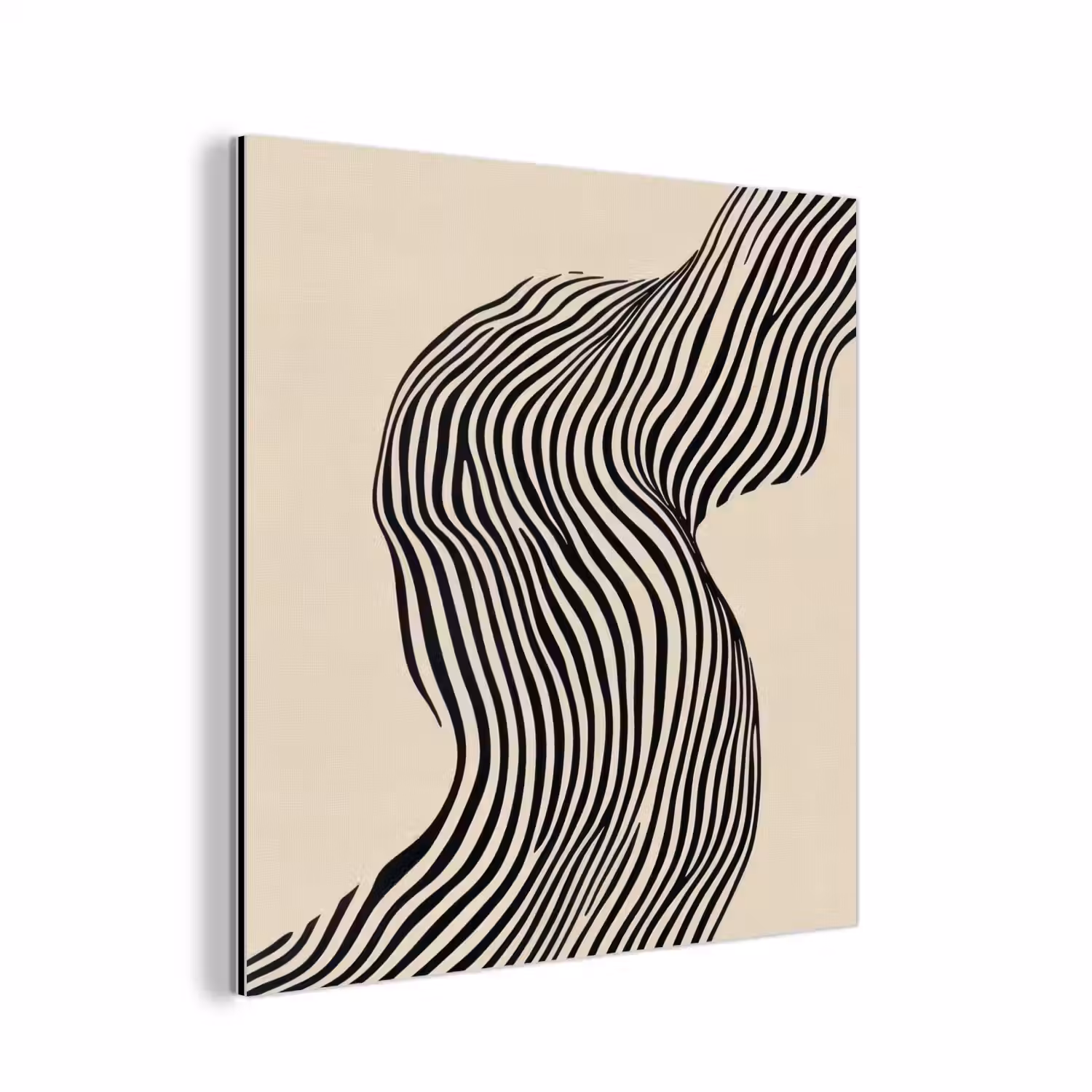 Golvend - Lijnen - Abstract - Silhouet aluminium wit klein -3d
