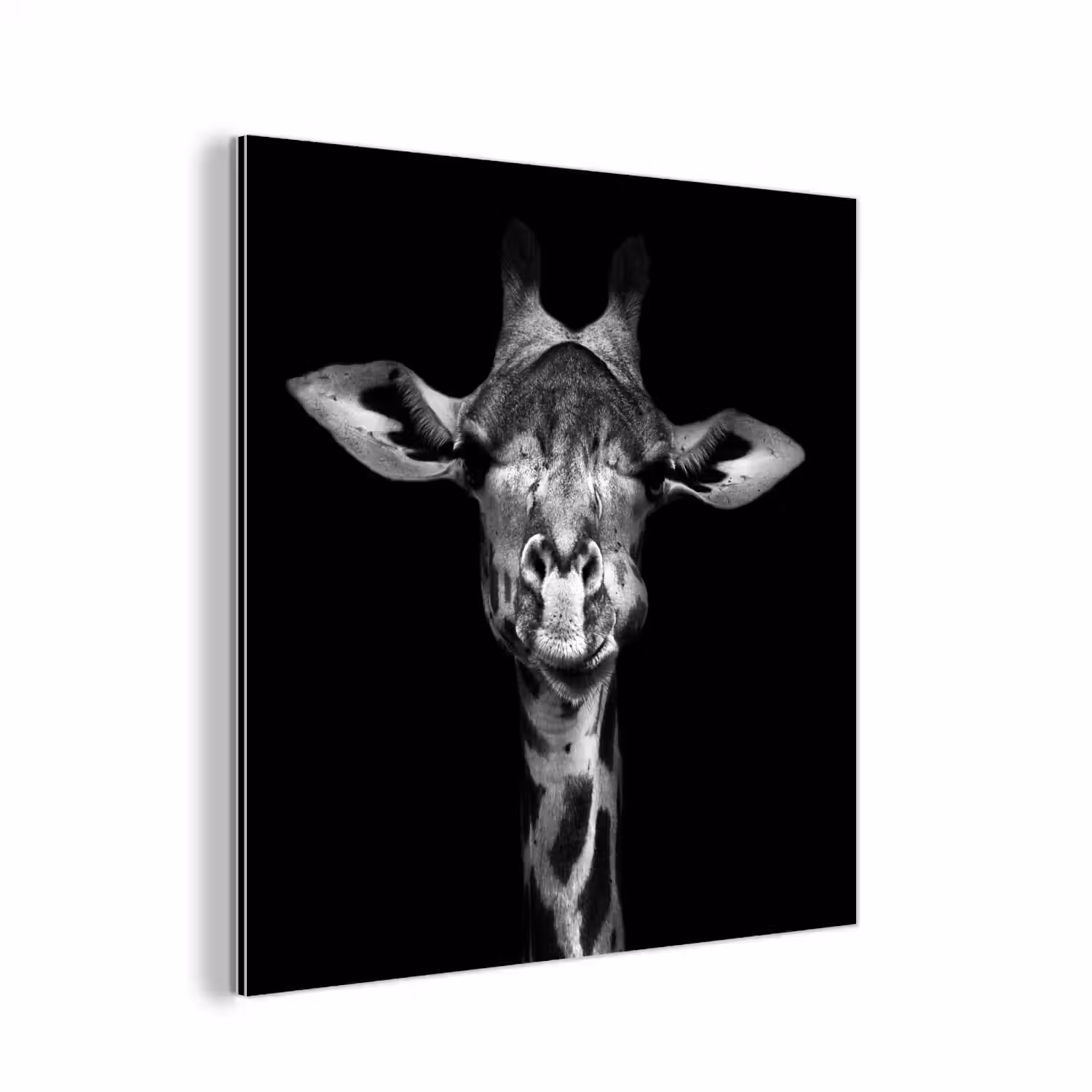 Giraffe - Portret - Dieren - Zwart - Wit aluminium wit klein -3d