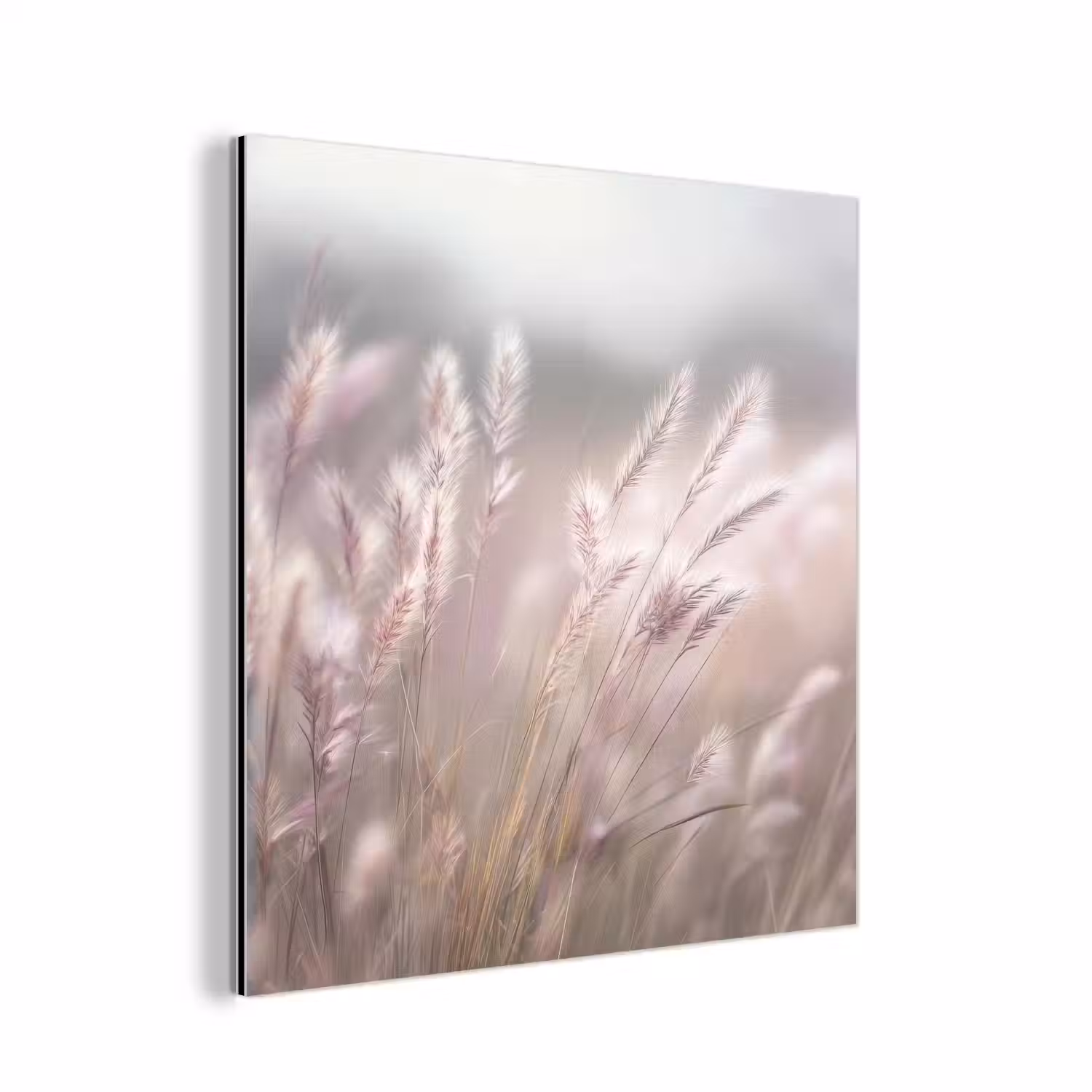 Graspluimen - Wind - Beige - Mistig aluminium wit klein -3d