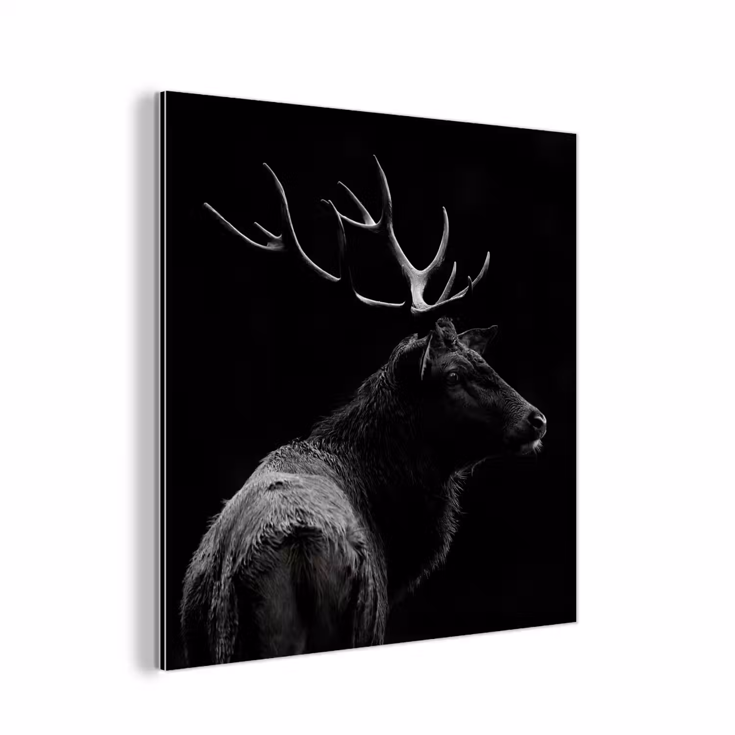 Hert - Zwart - Portret - Gewei - Dieren aluminium wit klein -3d