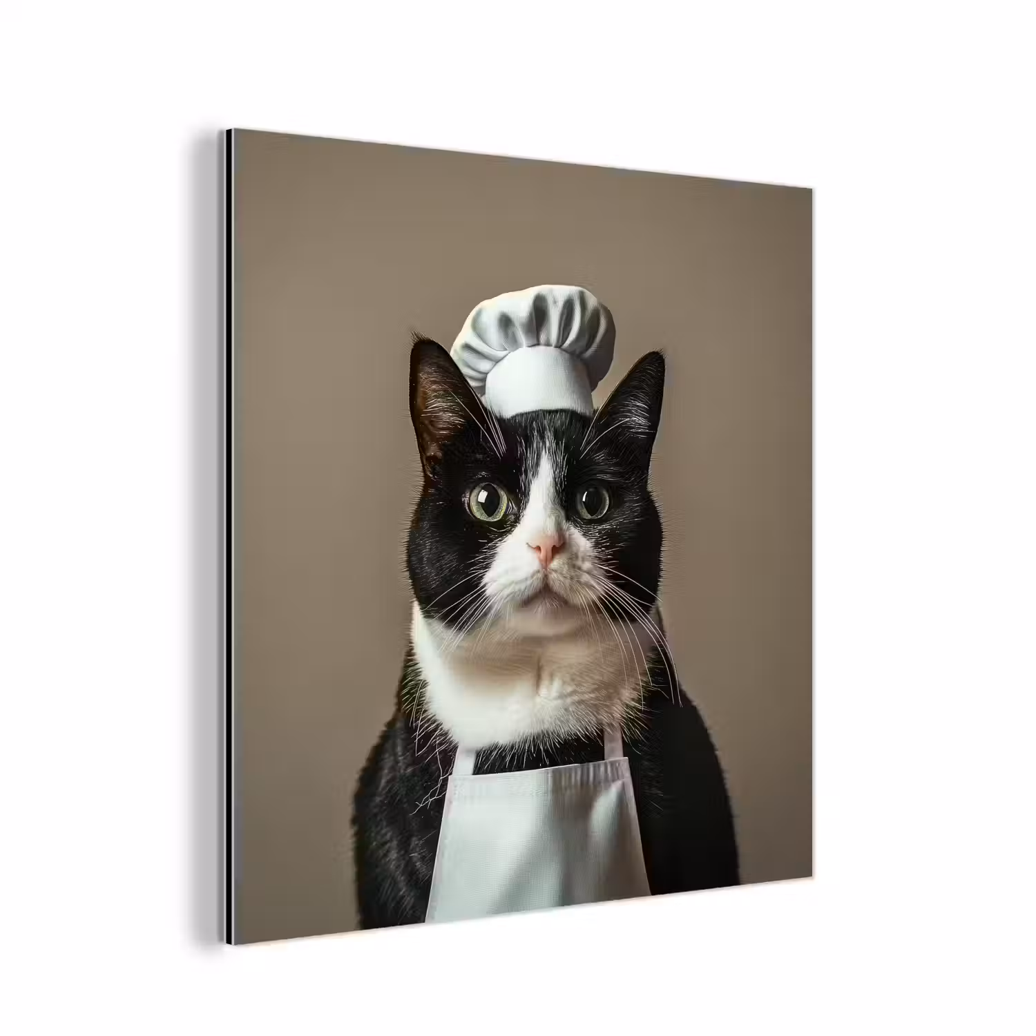Kat - Kokskleding - Zwart - Wit aluminium wit klein -3d