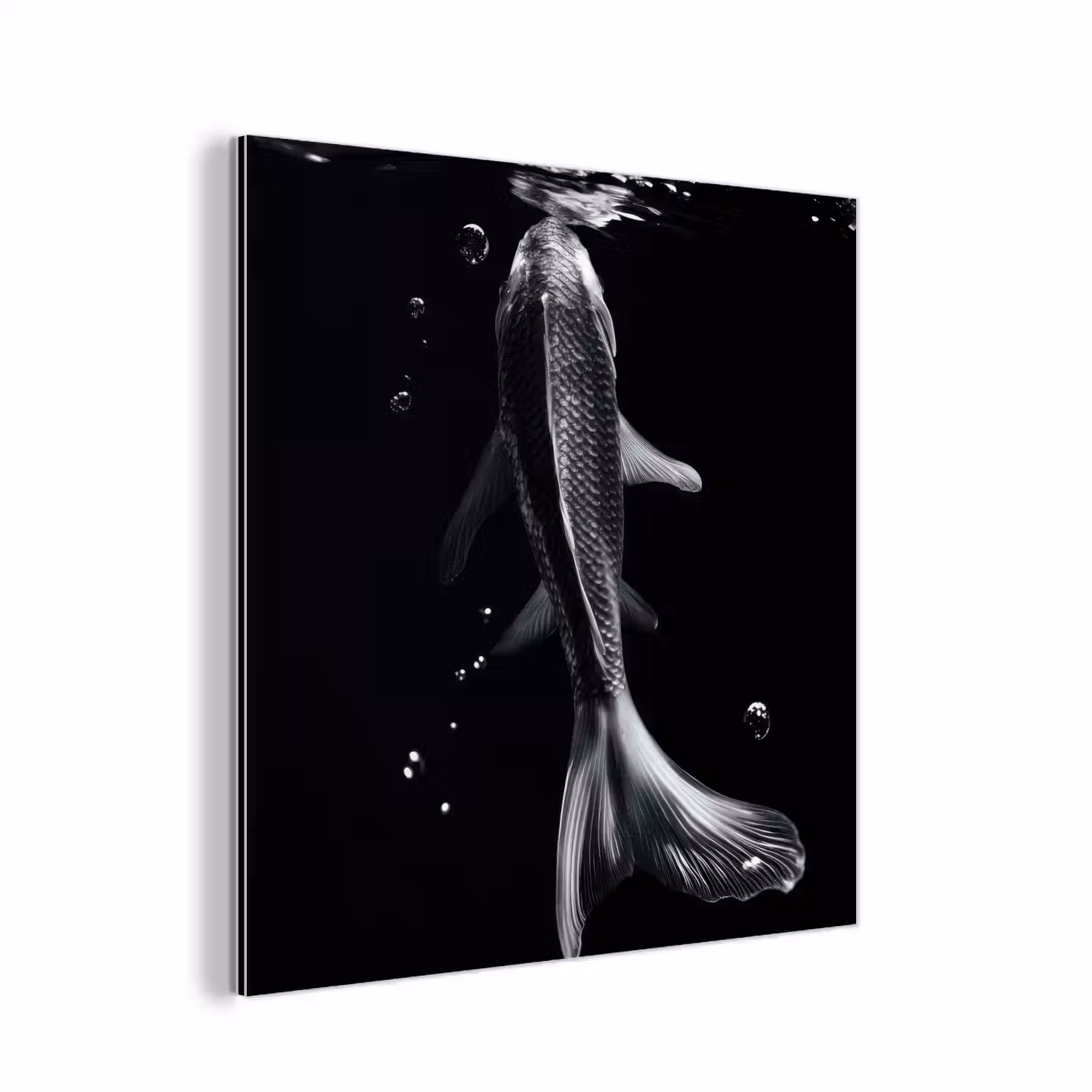 Koi - Vissen - Water - Zwart aluminium wit klein -3d