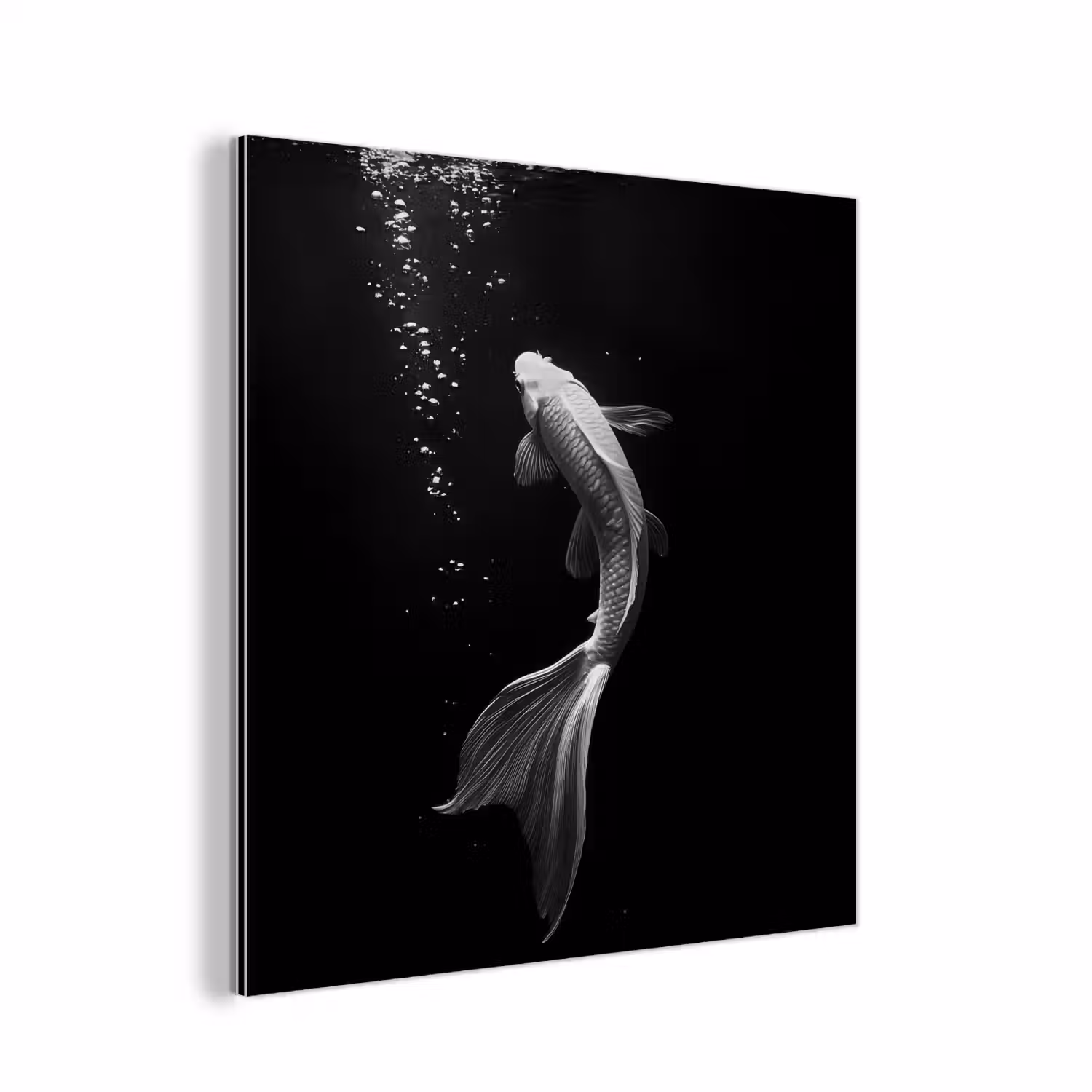 Koi - Vis - Wit - Zwart aluminium wit klein -3d