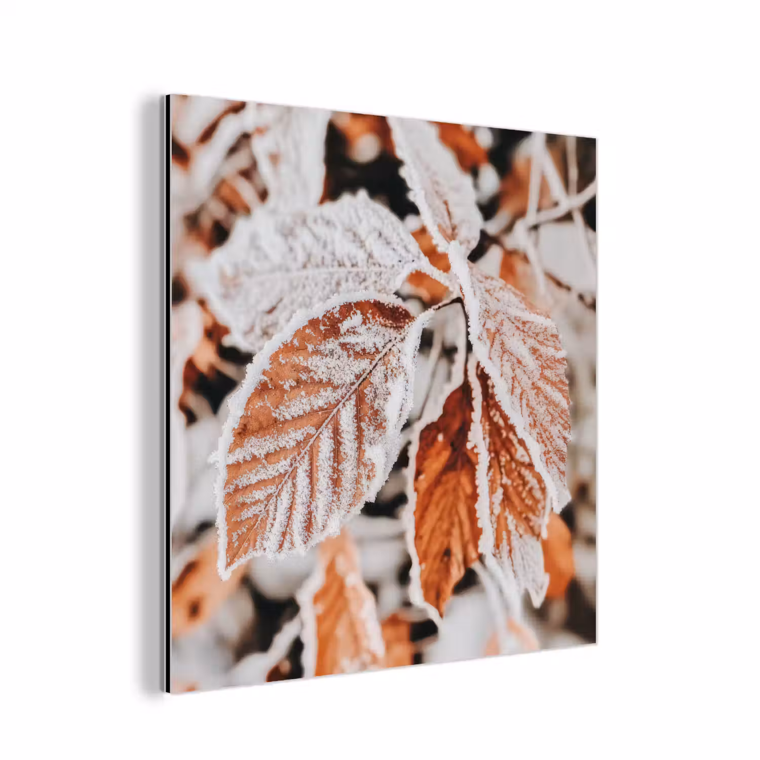 Bladeren - IJs - Winter - Natuur aluminium wit klein -3d