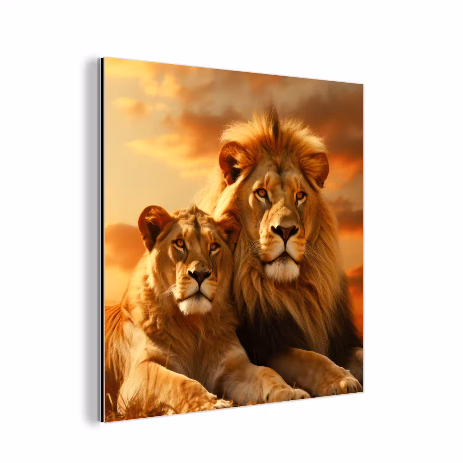 Leeuwen - Zonsondergang - Afrika - Savanne - Dieren aluminium wit klein -3d