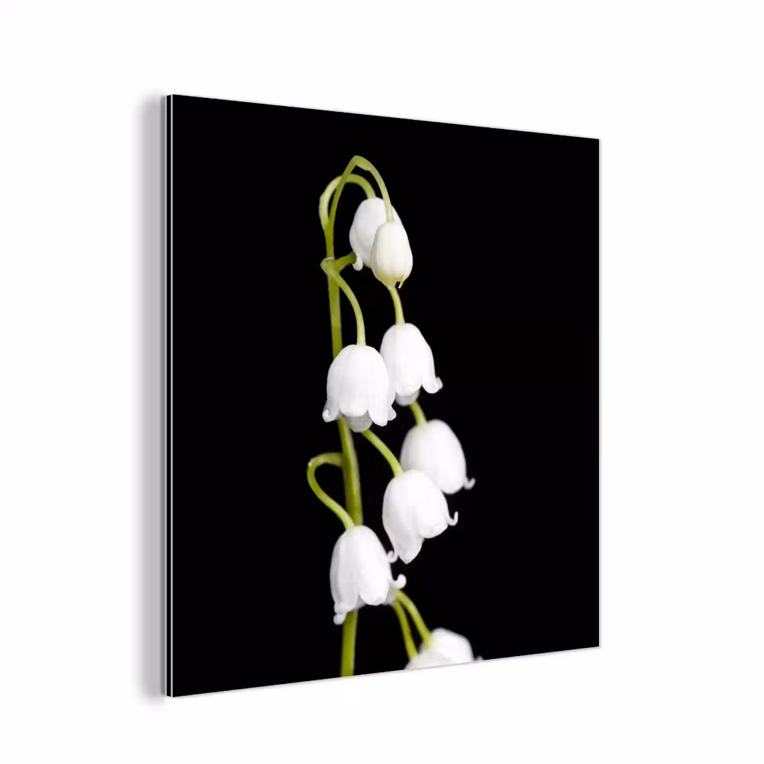 Lelietjes van dalen - Bloemen - Zwart - Flora aluminium wit klein -3d