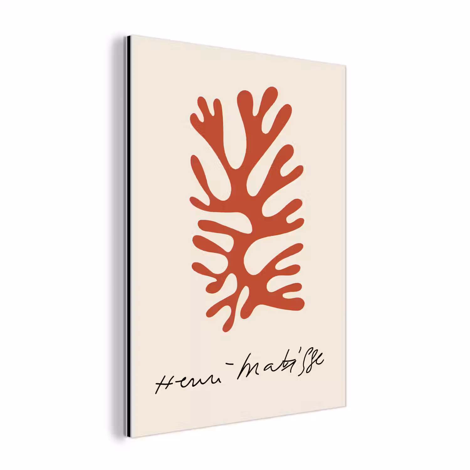 Matisse - Oude meesters - Abstract - Kunstwerk aluminium wit klein -3d