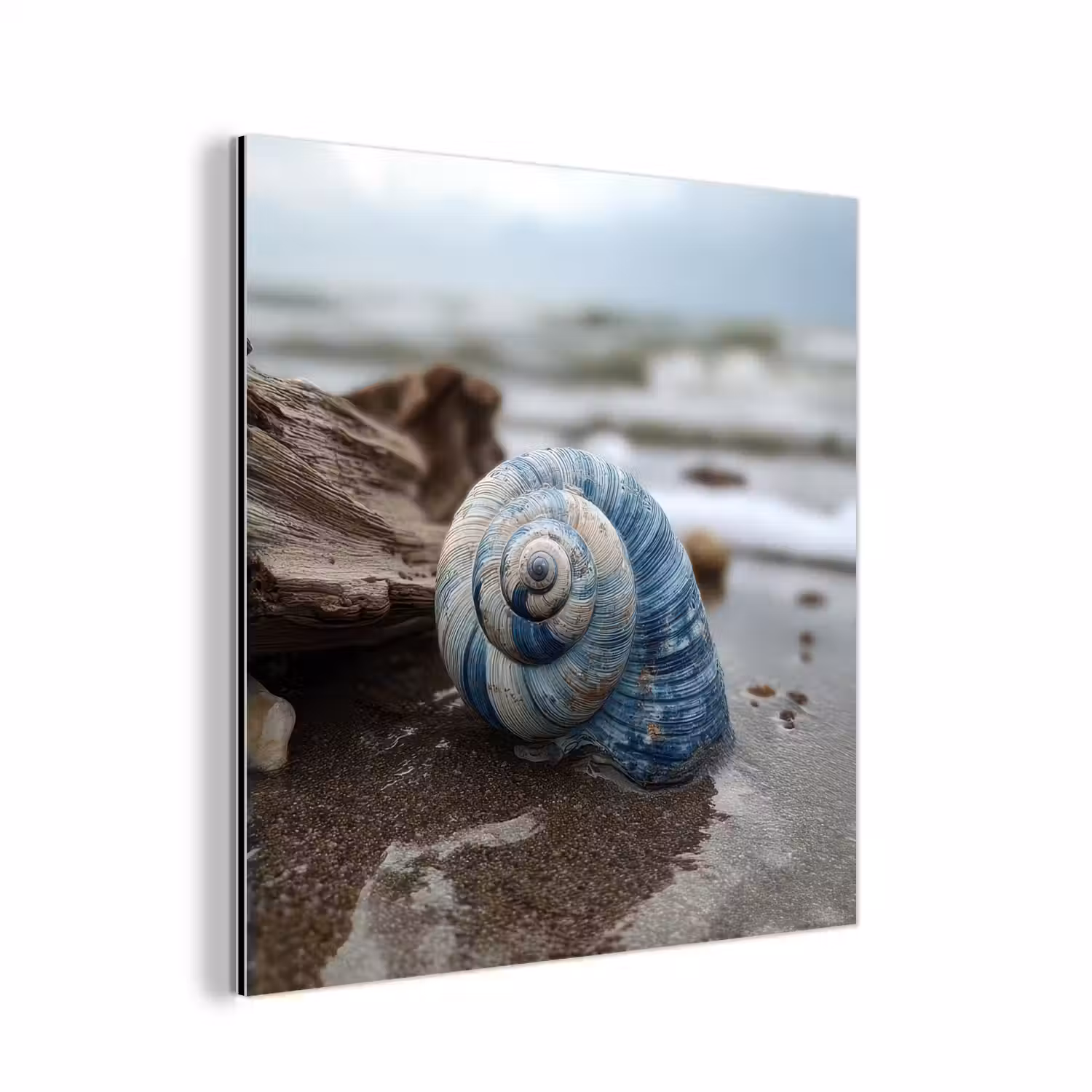 Schelp - Strand - Blauw - Zee aluminium wit klein -3d