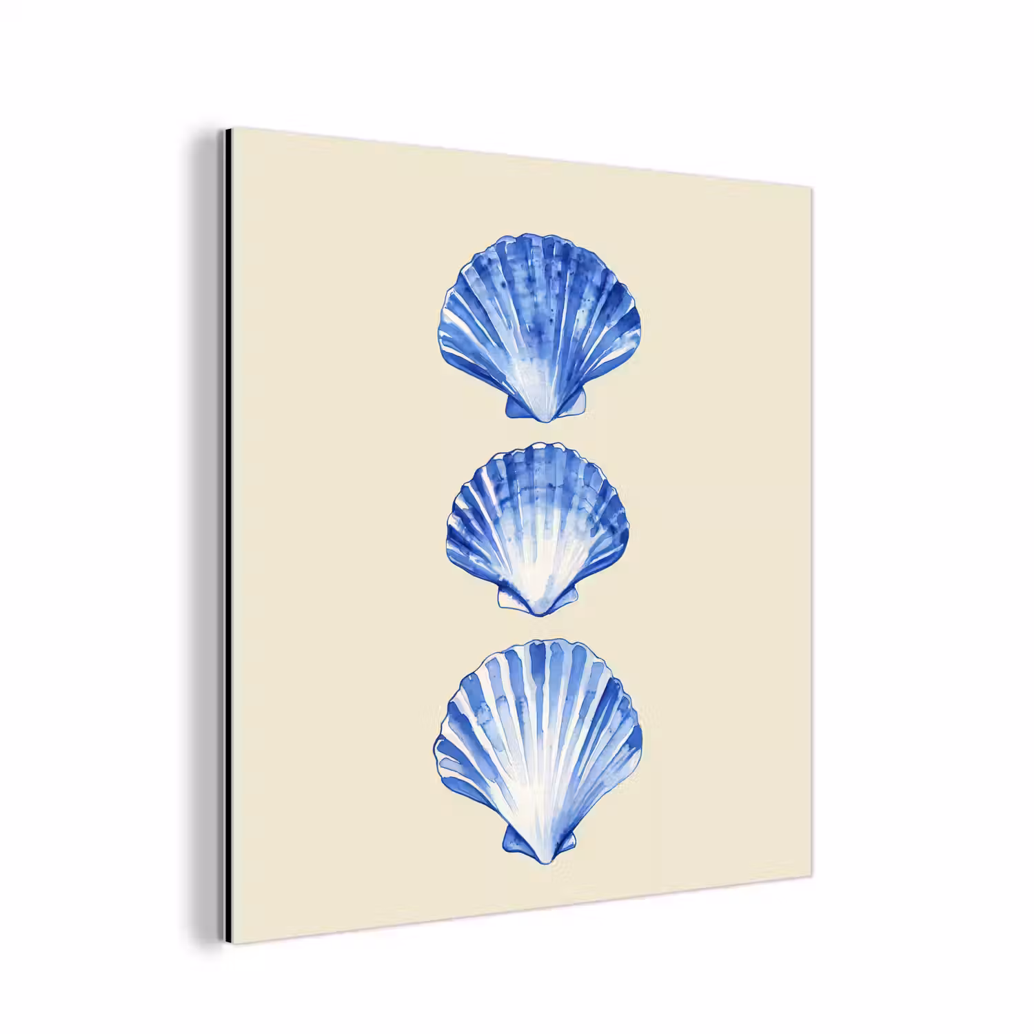 Schelpen - Blauw - Beige aluminium wit klein -3d
