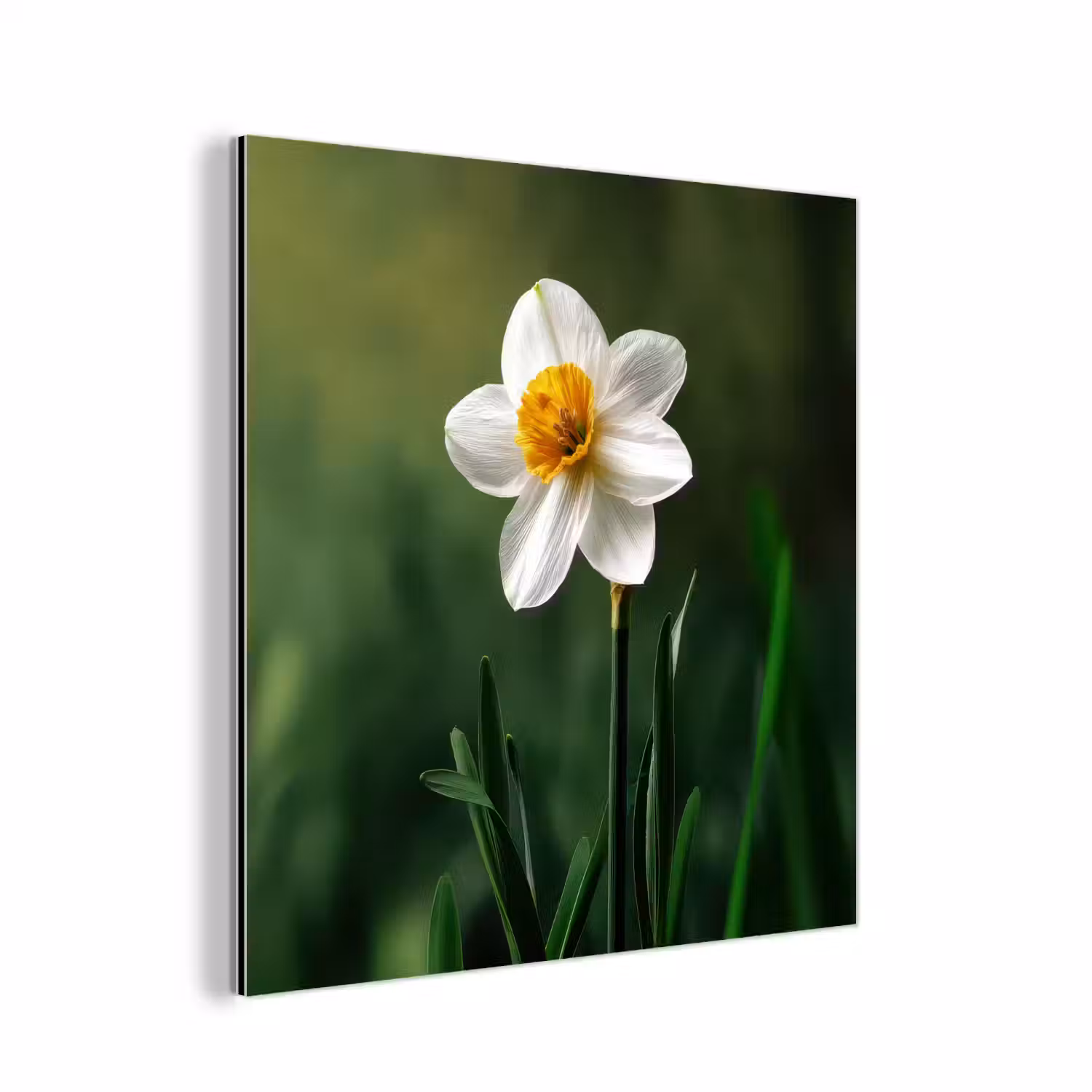 Narcis - Bloem - Wit - Grassprieten aluminium wit klein -3d