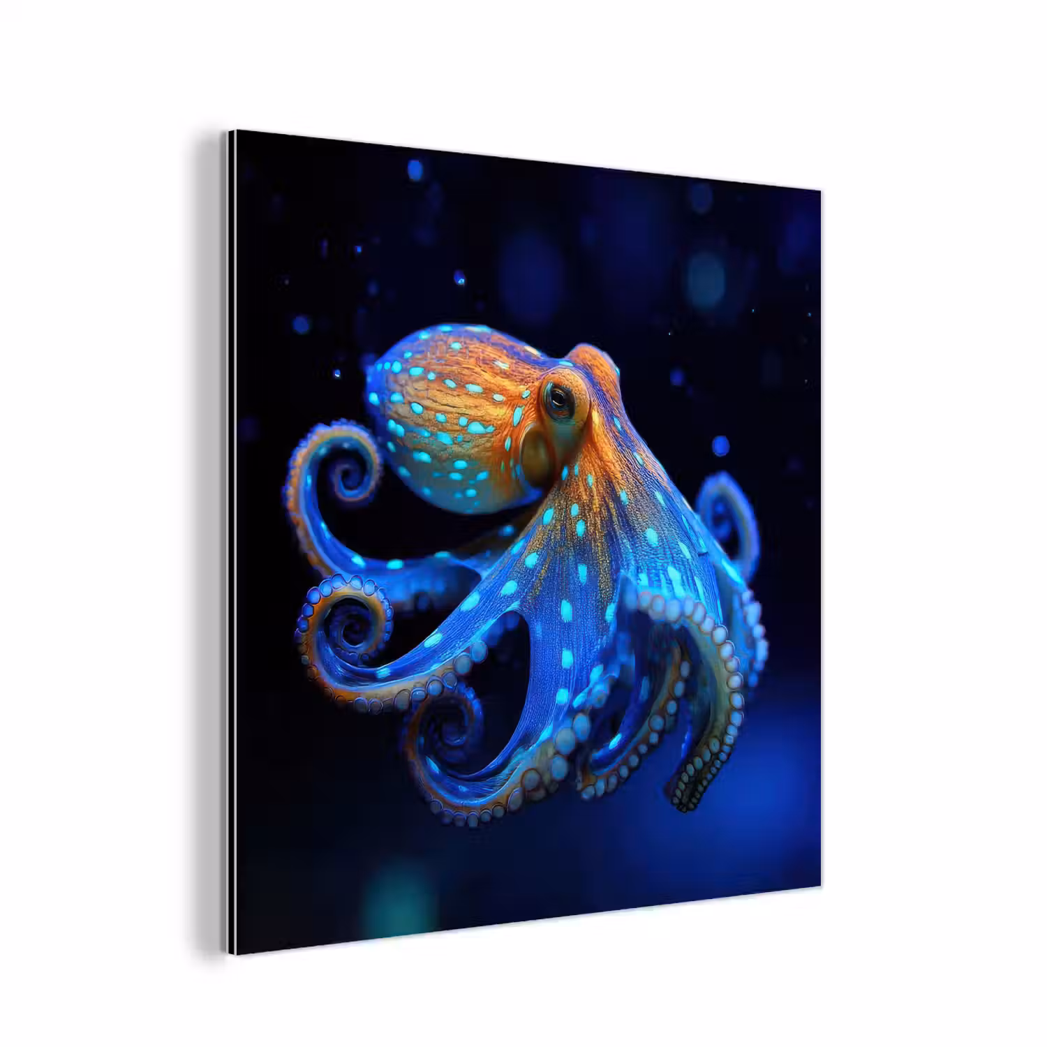 Octopus - Stippen - Blauw - Zee aluminium wit klein -3d