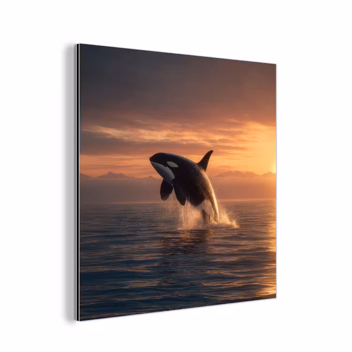 Orka - Zee - Zonsondergang aluminium wit klein -3d