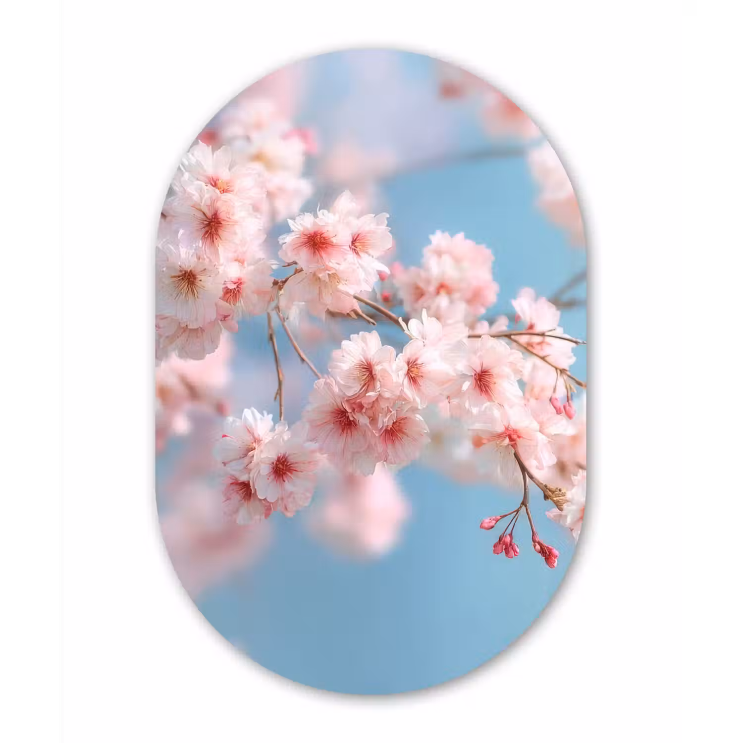 Takken - Bloesems - Roze Wandcirkel Ovaal Aluminium middel -3d