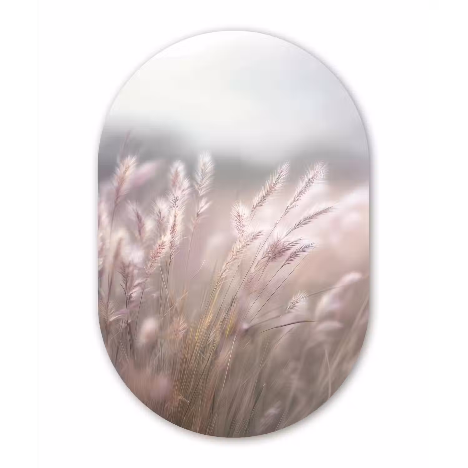 Graspluimen - Wind - Beige - Mistig Wandcirkel Ovaal Aluminium middel -3d