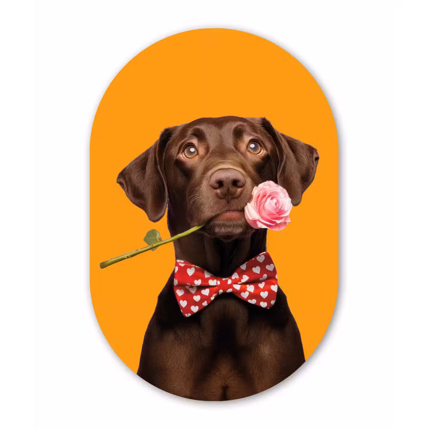 Hond - Oranje - Roos - Valentijn Wandcirkel Ovaal Aluminium middel -3d