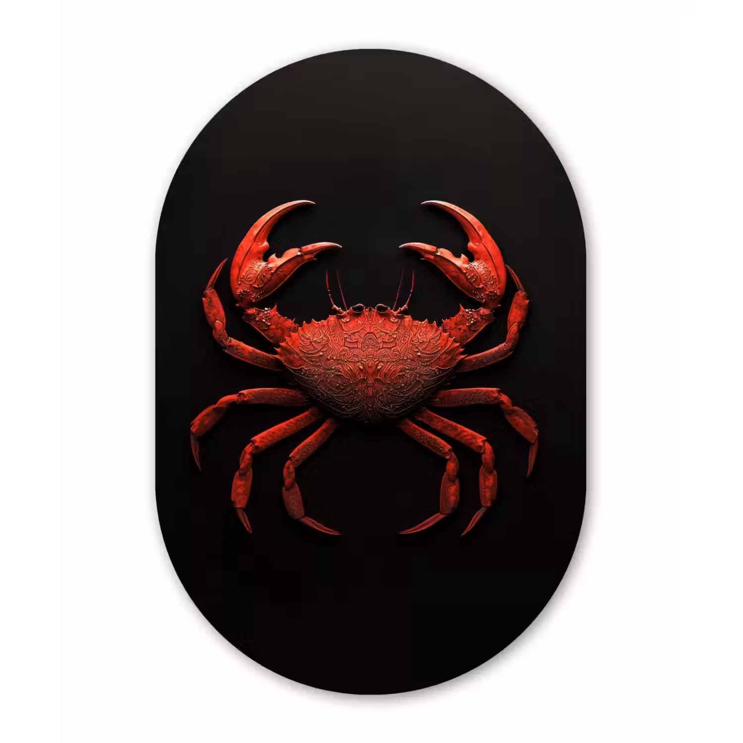 Krab - Rood - Vissen - Schaaldieren Wandcirkel Ovaal Aluminium middel -3d