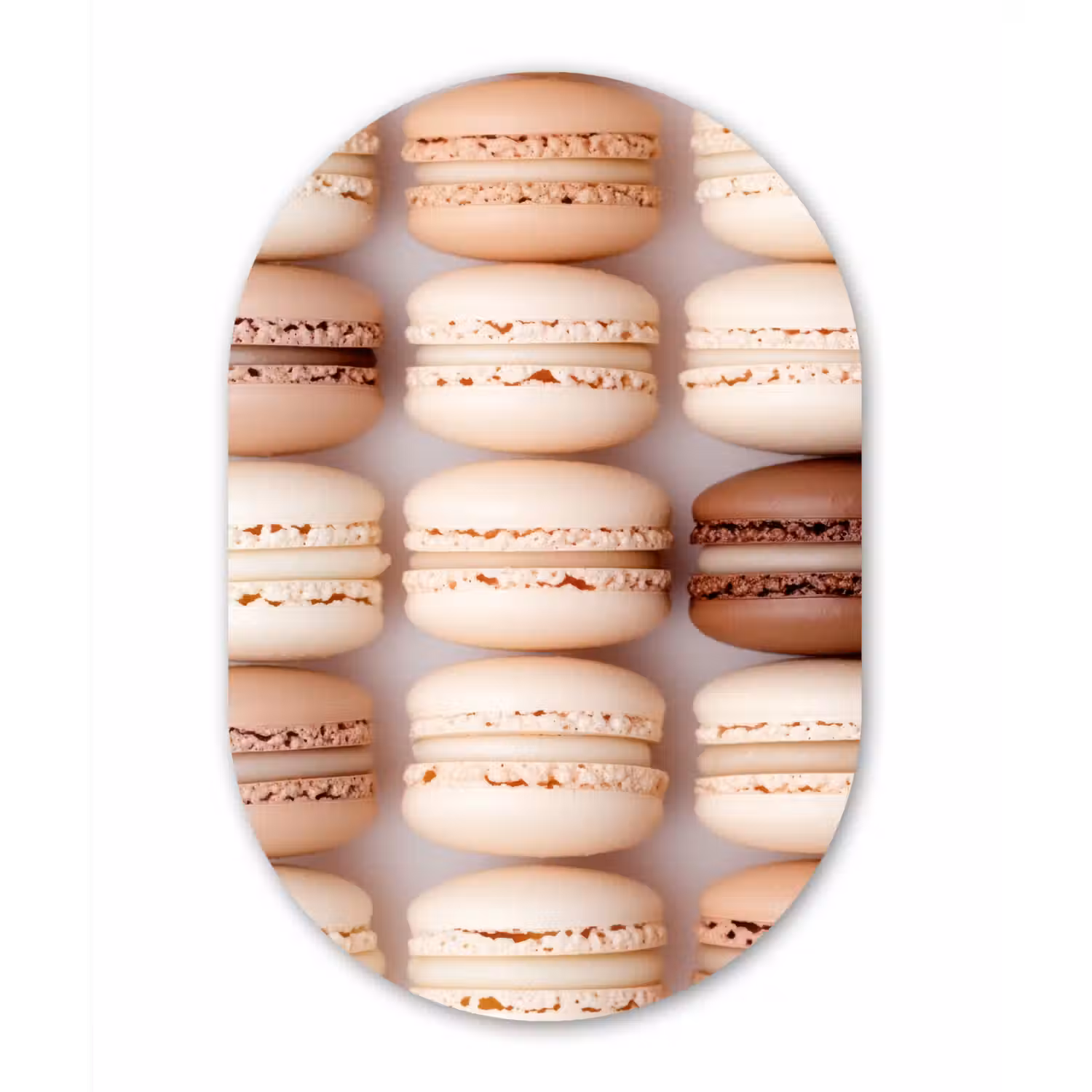 Macarons - Beige - Bruin Wandcirkel Ovaal Aluminium middel -3d