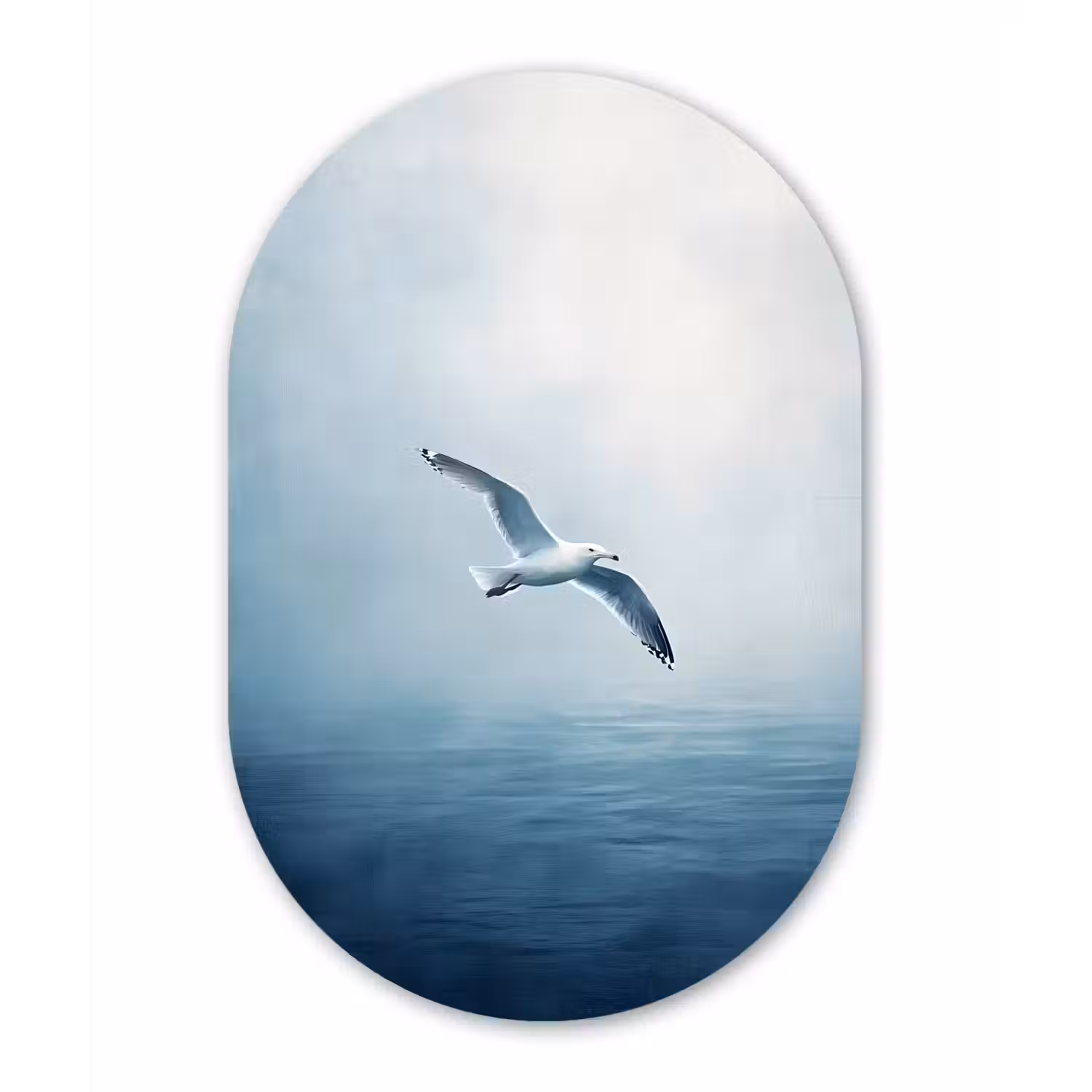 Meeuw - Wit - Zee - Mistig Wandcirkel Ovaal Aluminium middel -3d