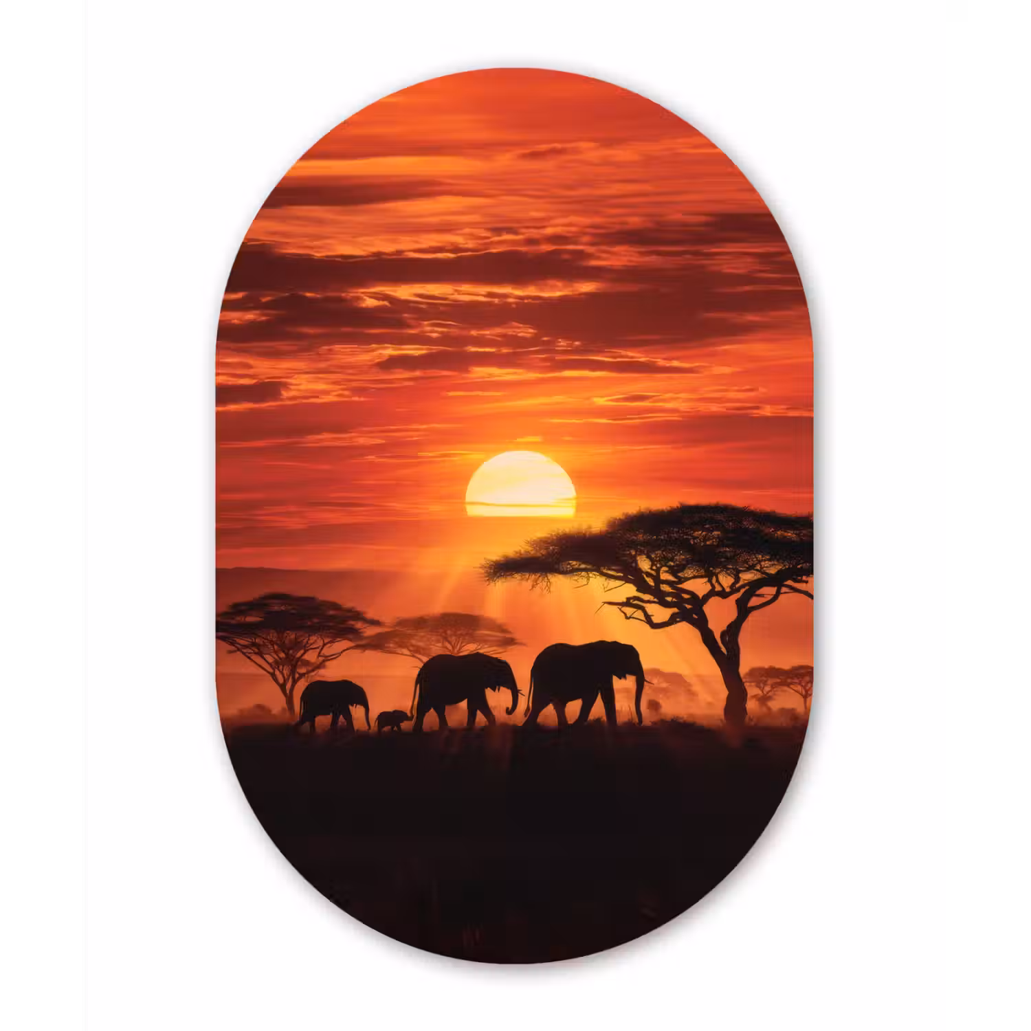 Savanne - Olifanten - Zonsondergang Wandcirkel Ovaal Aluminium middel -3d