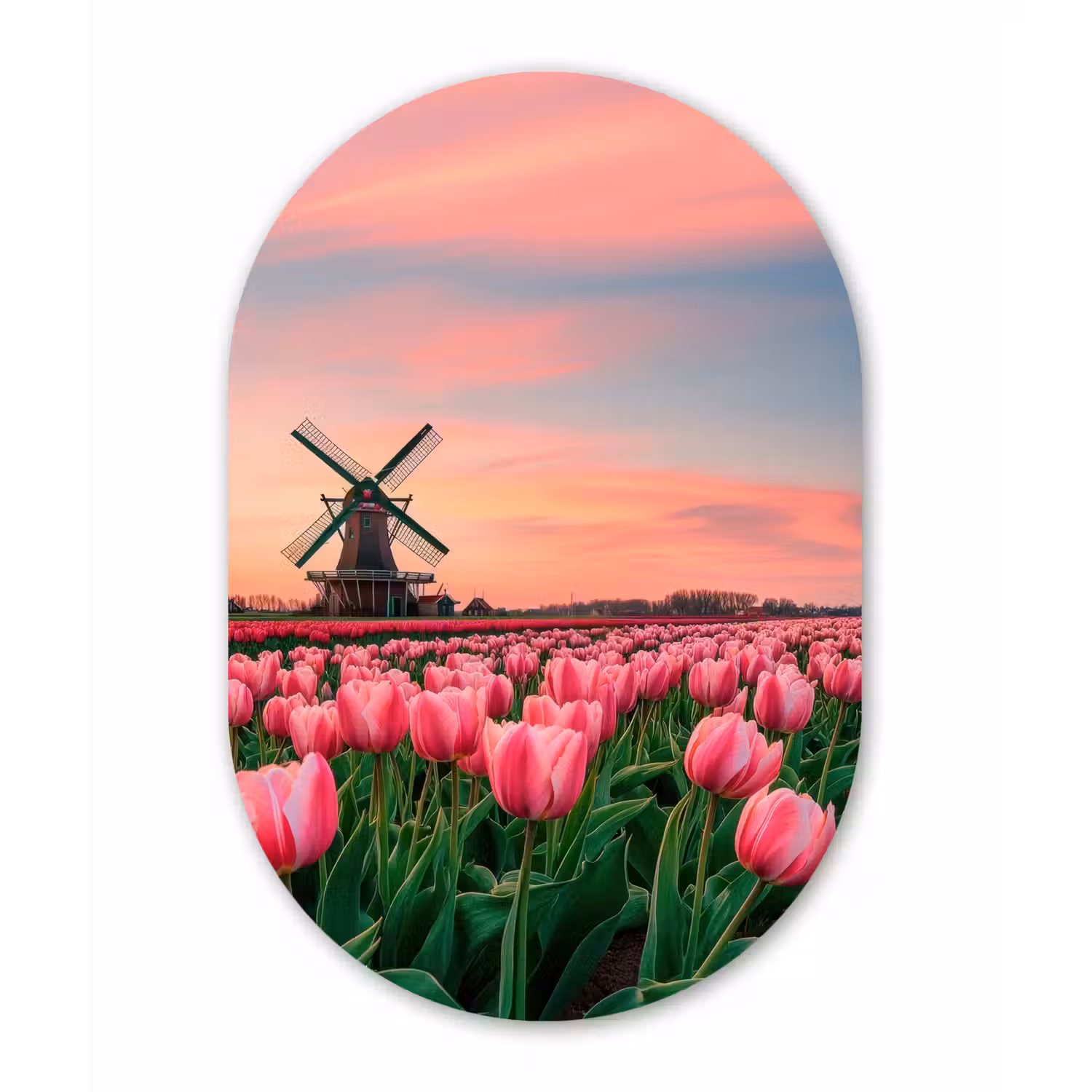 Tulpen - Molen - Nederland Wandcirkel Ovaal Aluminium middel -3d