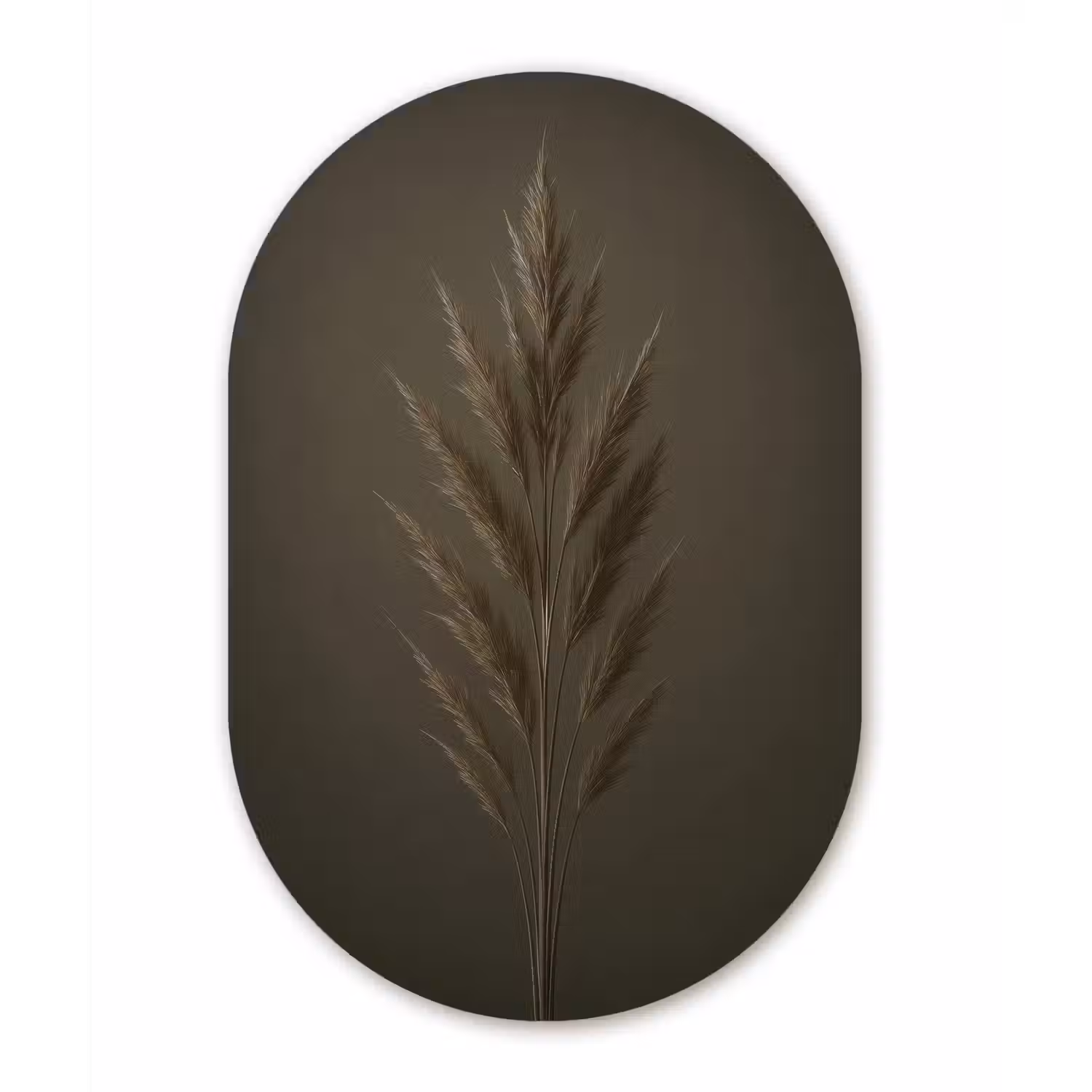 Tak - Pluimgras - Donkerbruin Wandcirkel Ovaal Aluminium middel -3d