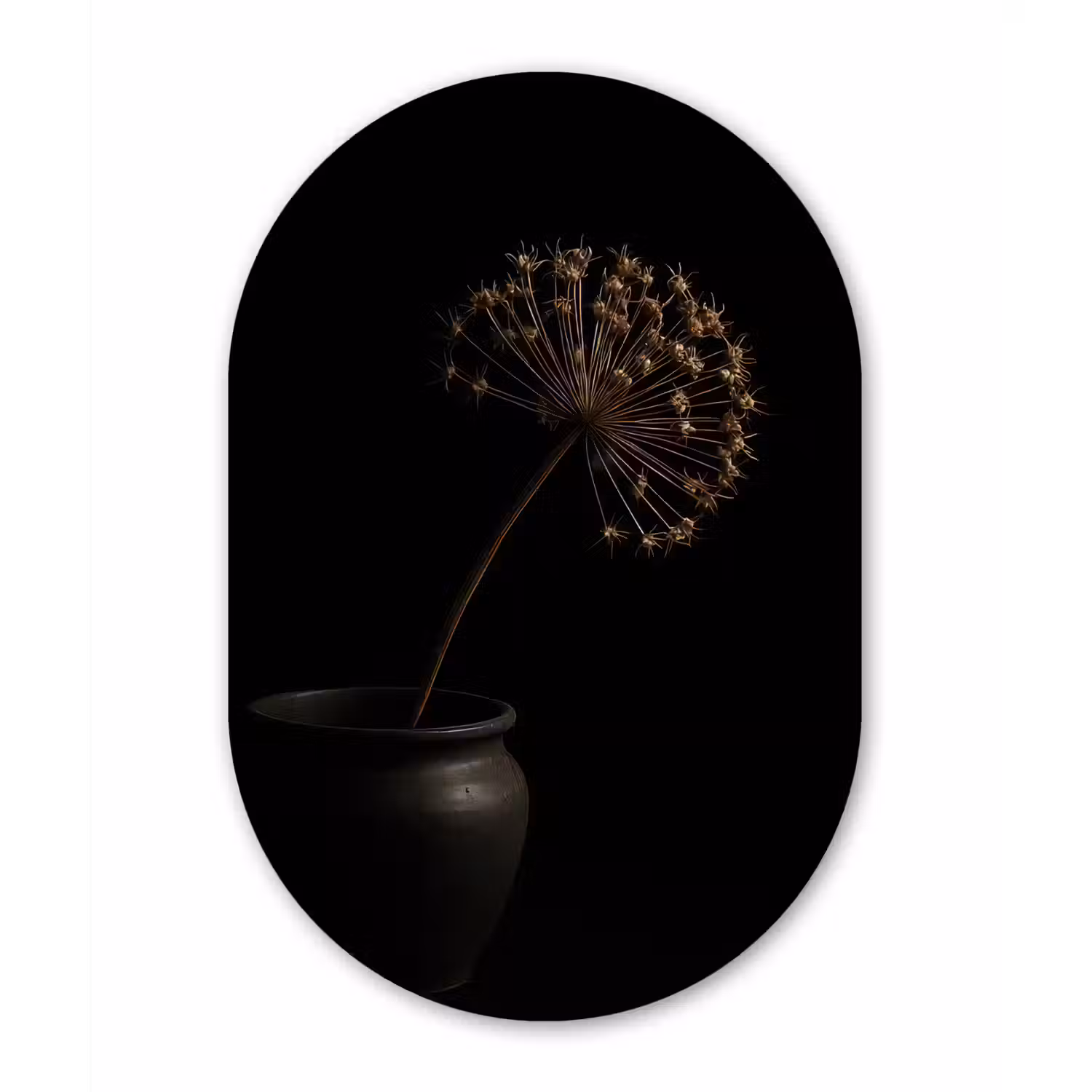Bol - Gedroogd - Vaas - Zwart Wandcirkel Ovaal Aluminium middel -3d