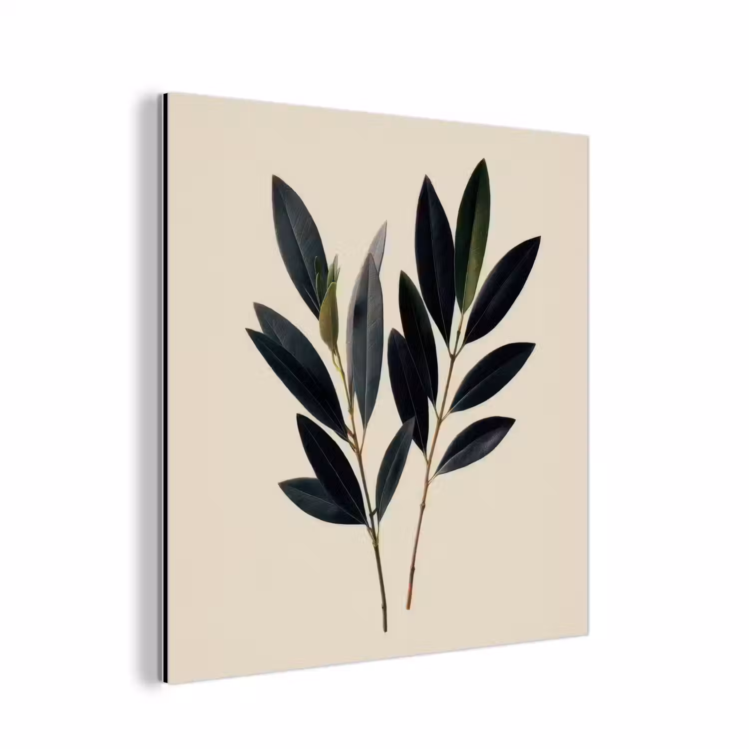 Ovaalvormige bladeren - Diep groen - Symmetrisch aluminium wit klein -3d