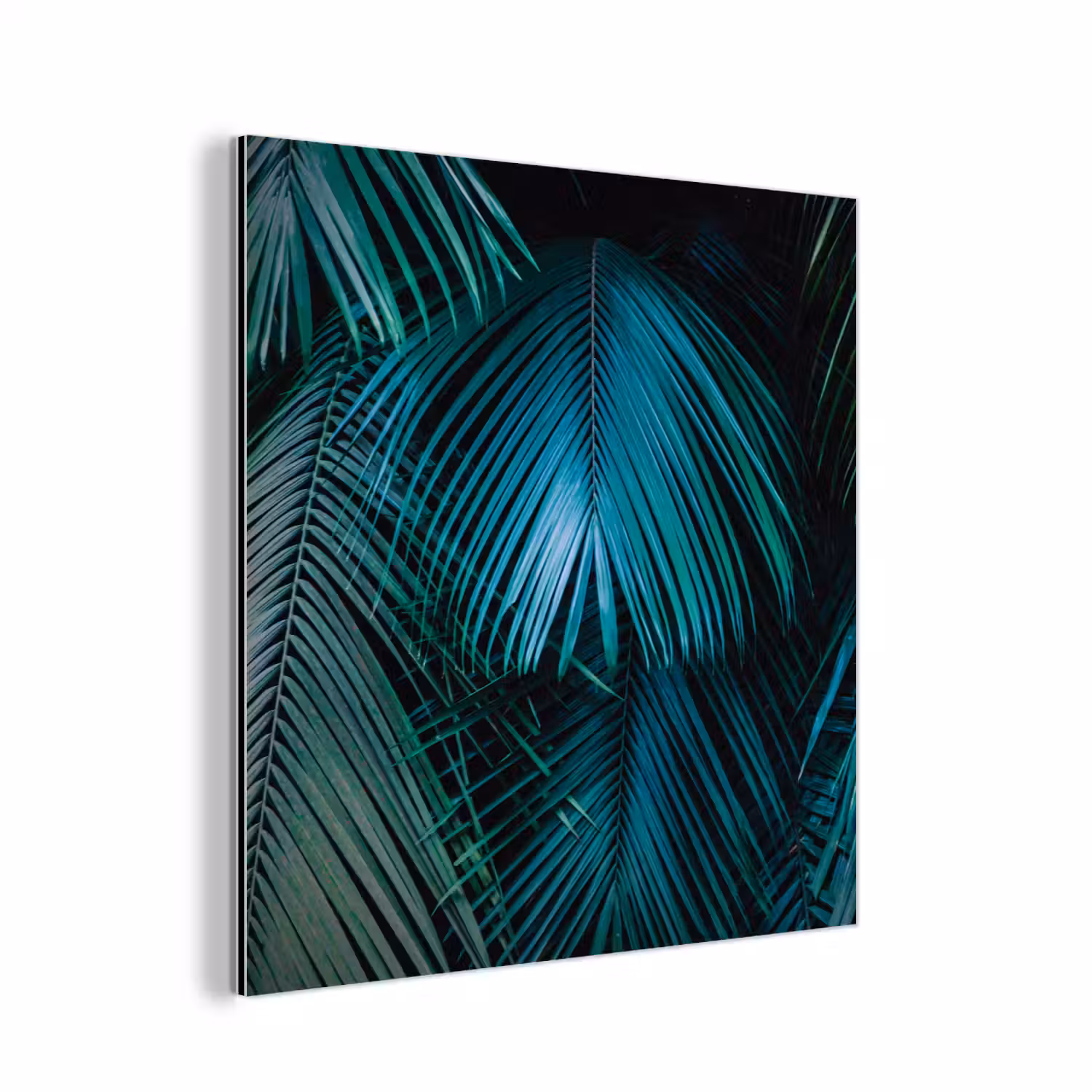Palmblad - Tropisch - Natuur - Jungle aluminium wit klein -3d