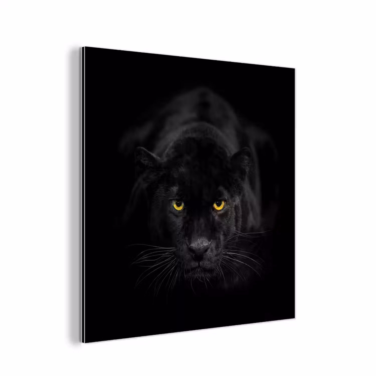 Panter - Dieren - Zwart - Ogen aluminium wit klein -3d