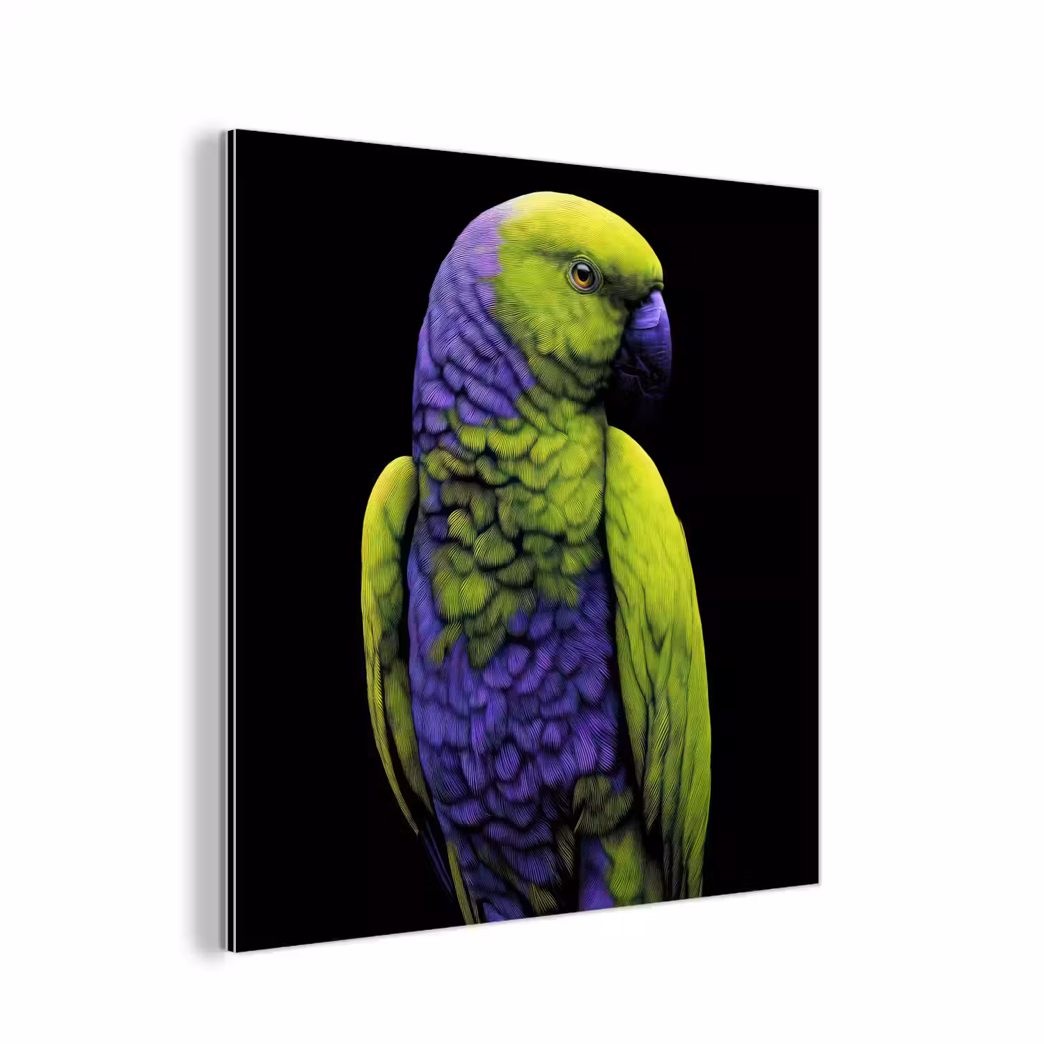 Papegaai - Veren - Opvallend - Groen aluminium wit klein -3d