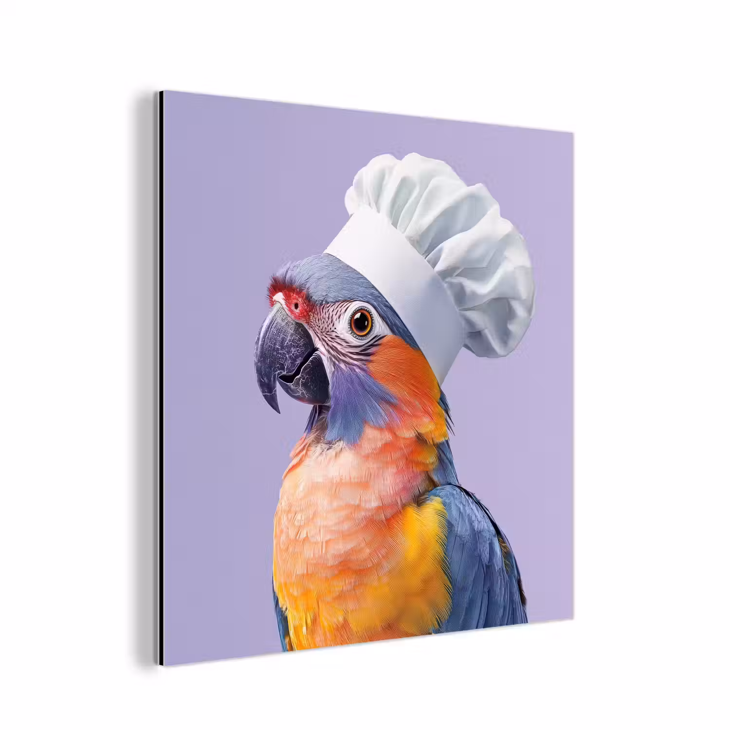 Papegaai - Koksmuts - Paars - Cute aluminium wit klein -3d