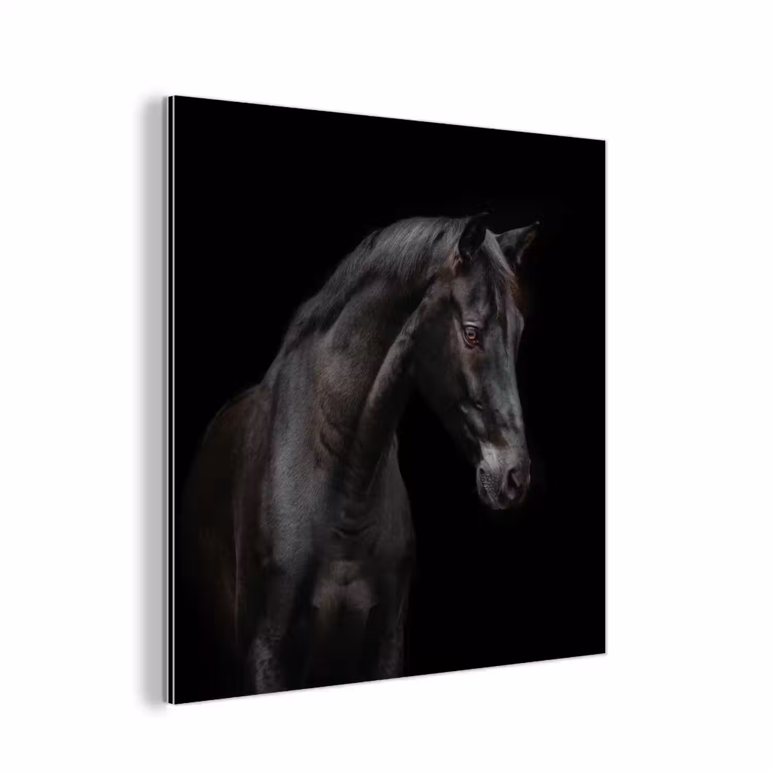 Paard - Dieren - Zwart - Portret aluminium wit klein -3d