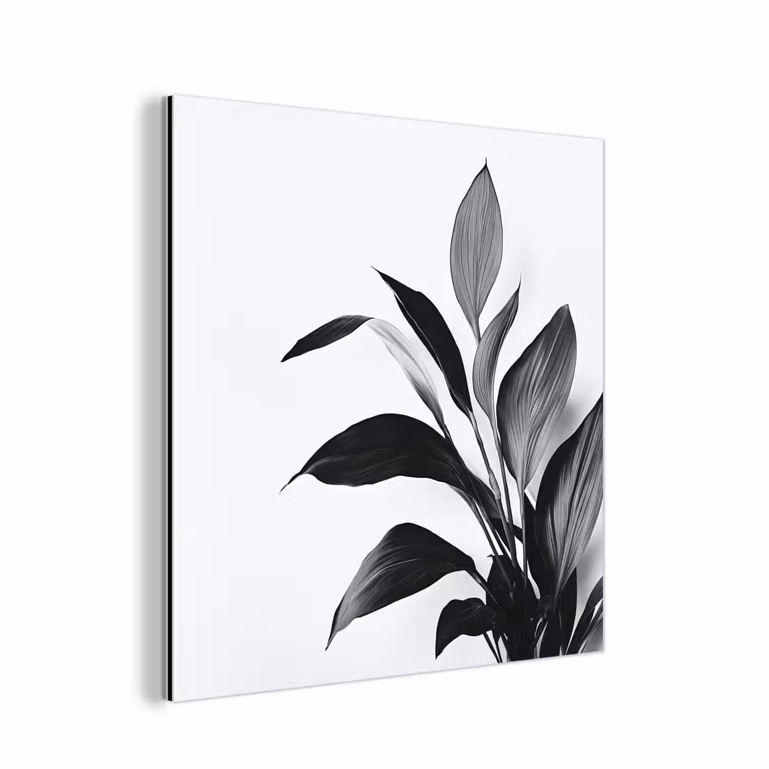 Plant - Bladeren - Minimalistisch - Zwart aluminium wit klein -3d