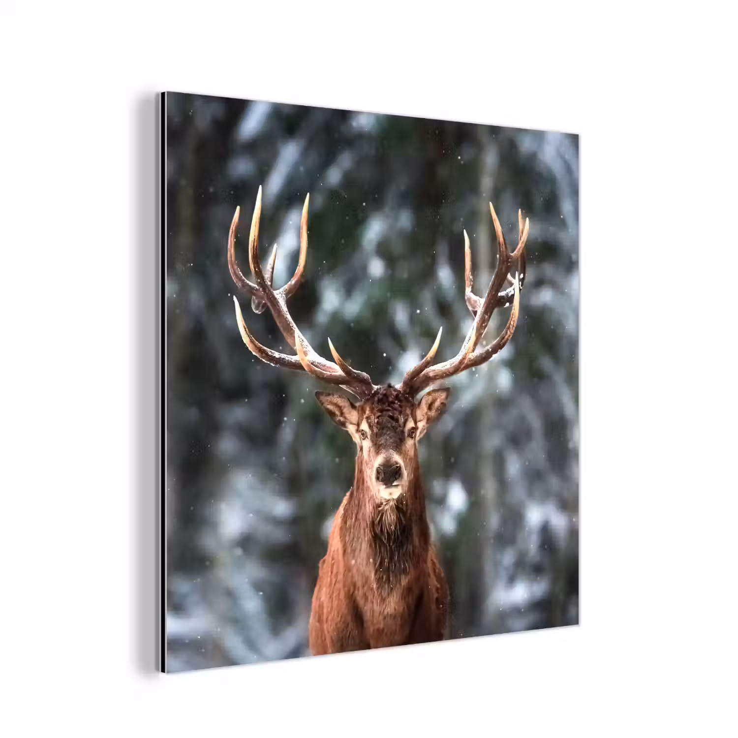 Hert - Winter - Sneeuw - Bos - Natuur - Dier aluminium wit klein -3d