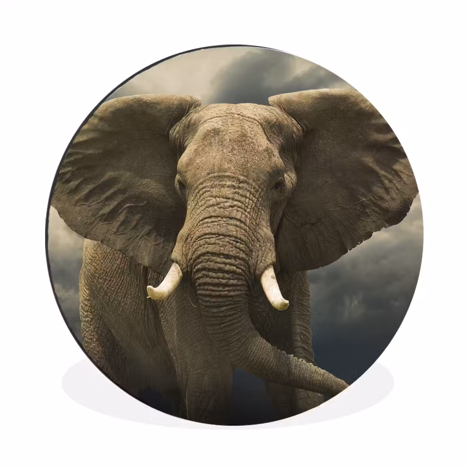 Afrikaanse olifant tegen de donkere wolken Wandcirkel aluminium klein -3d