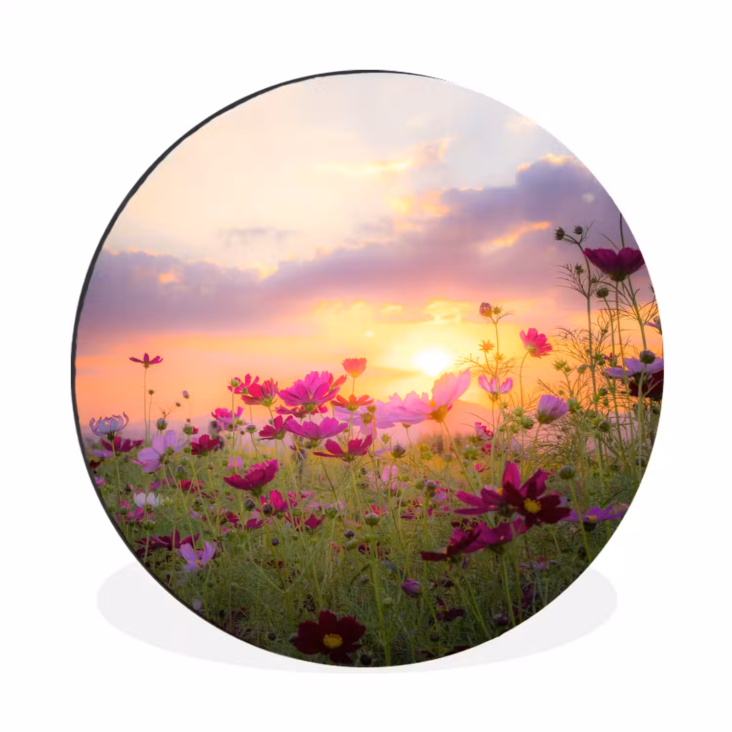 Bloemen - Roze - Zonsondergang Wandcirkel aluminium klein -3d