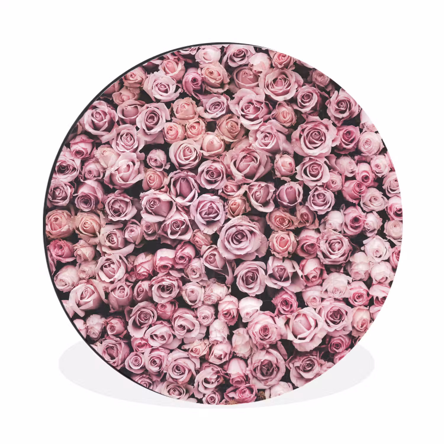 Bloemen - Rozen - Natuur - Roze - Botanisch Wandcirkel aluminium klein -3d