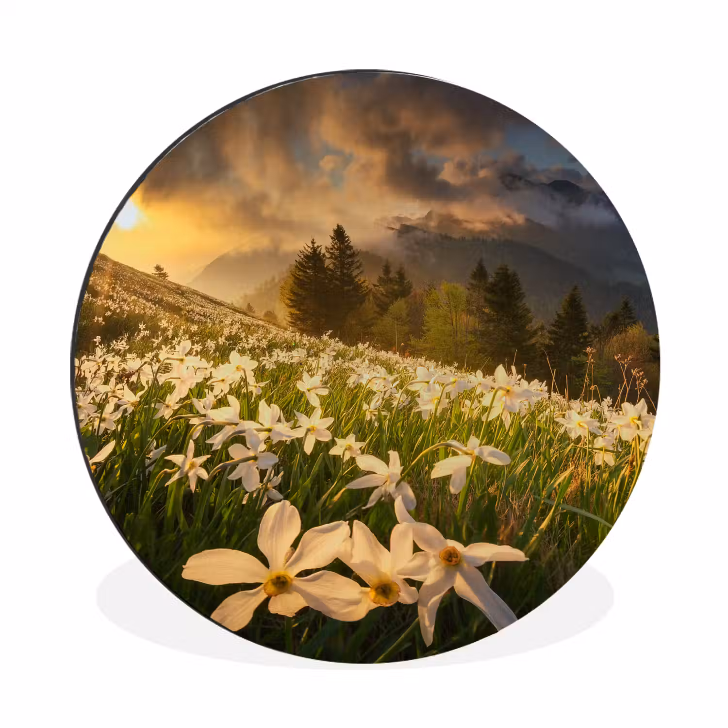 Bloemenveld - Heuvels - Zonsondergang - Berg - Natuur - Wit Wandcirkel aluminium klein -3d