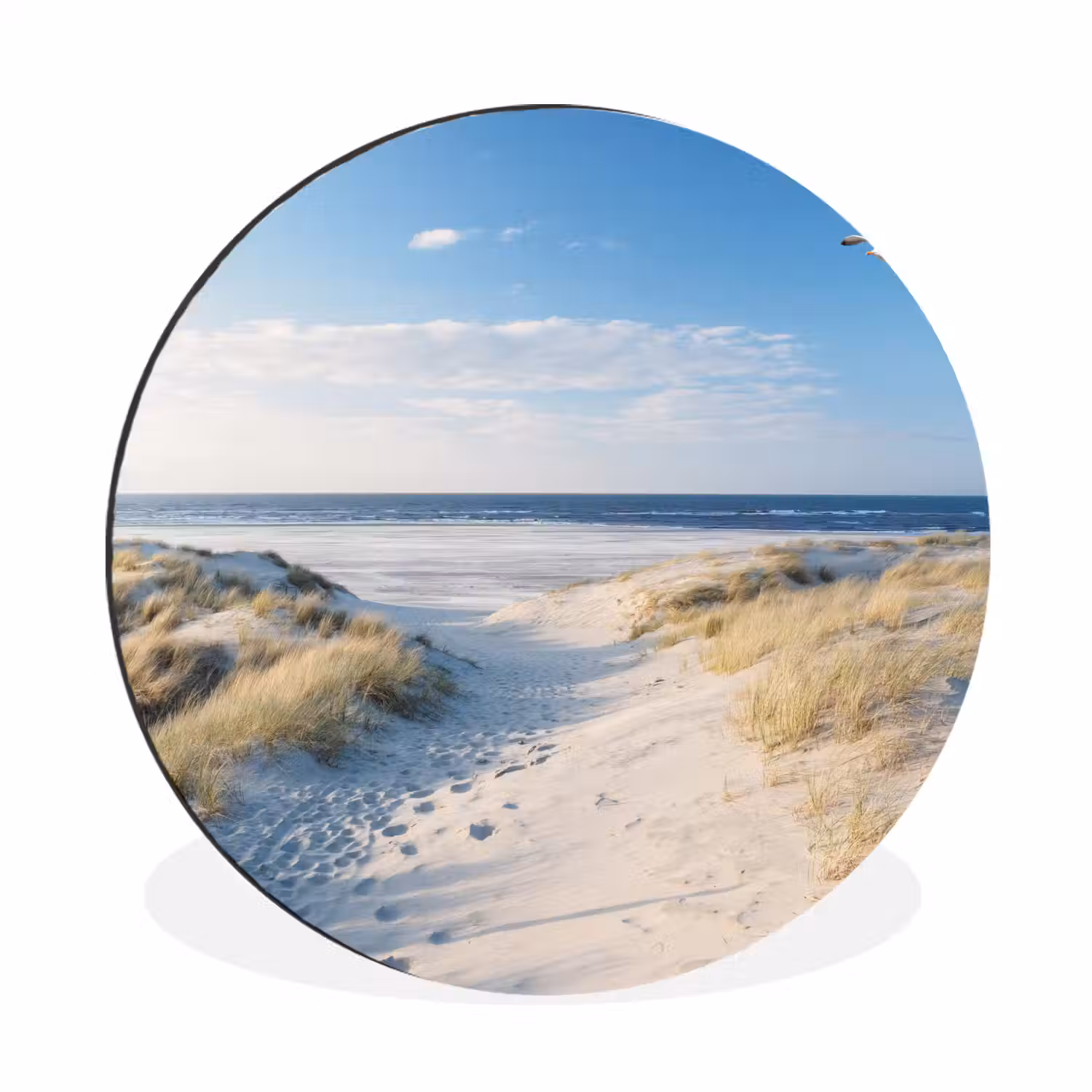 Duin - Meeuw - Strand - Zee - Zon Wandcirkel aluminium klein -3d