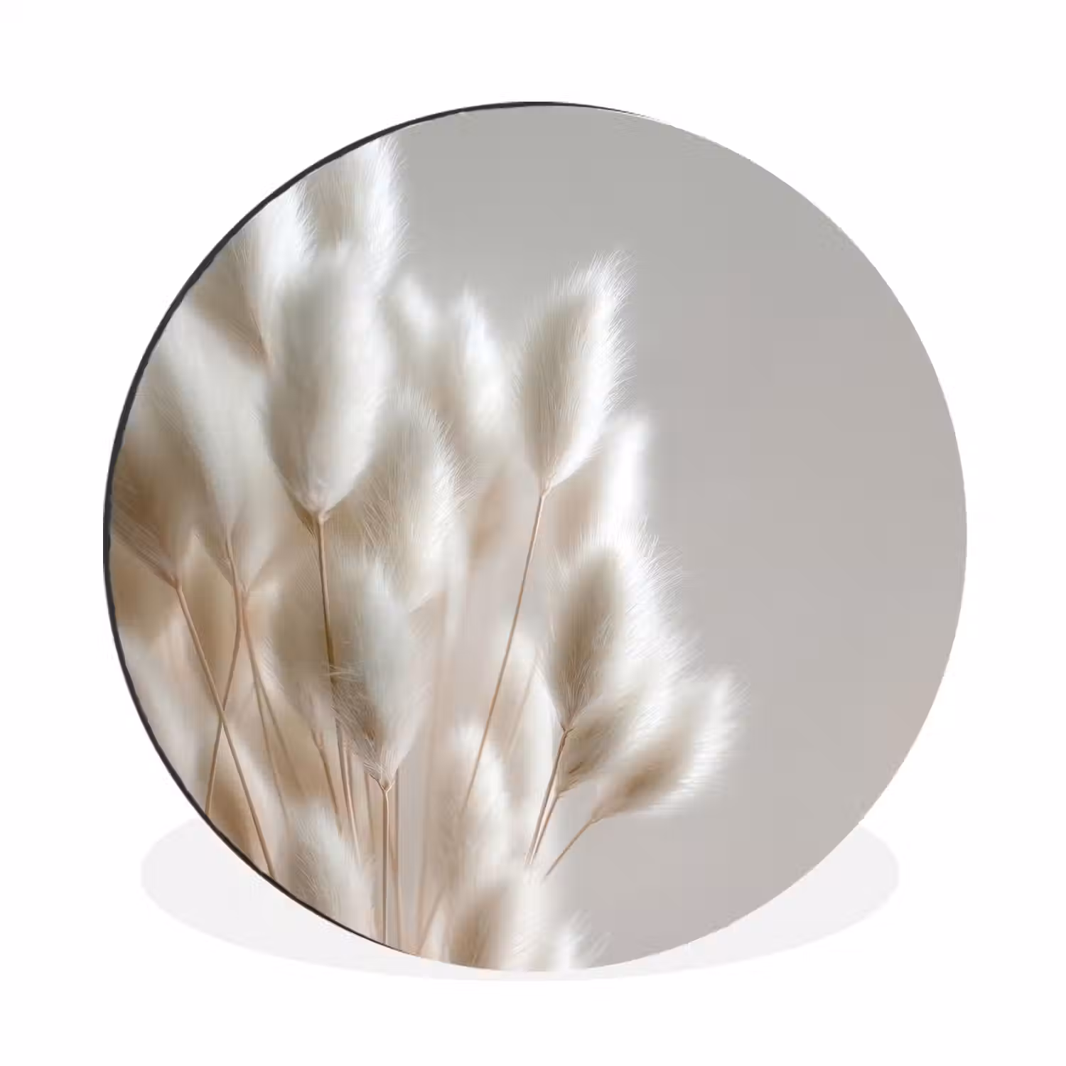 Pluimen - Beige - Minimalistisch Wandcirkel aluminium klein -3d