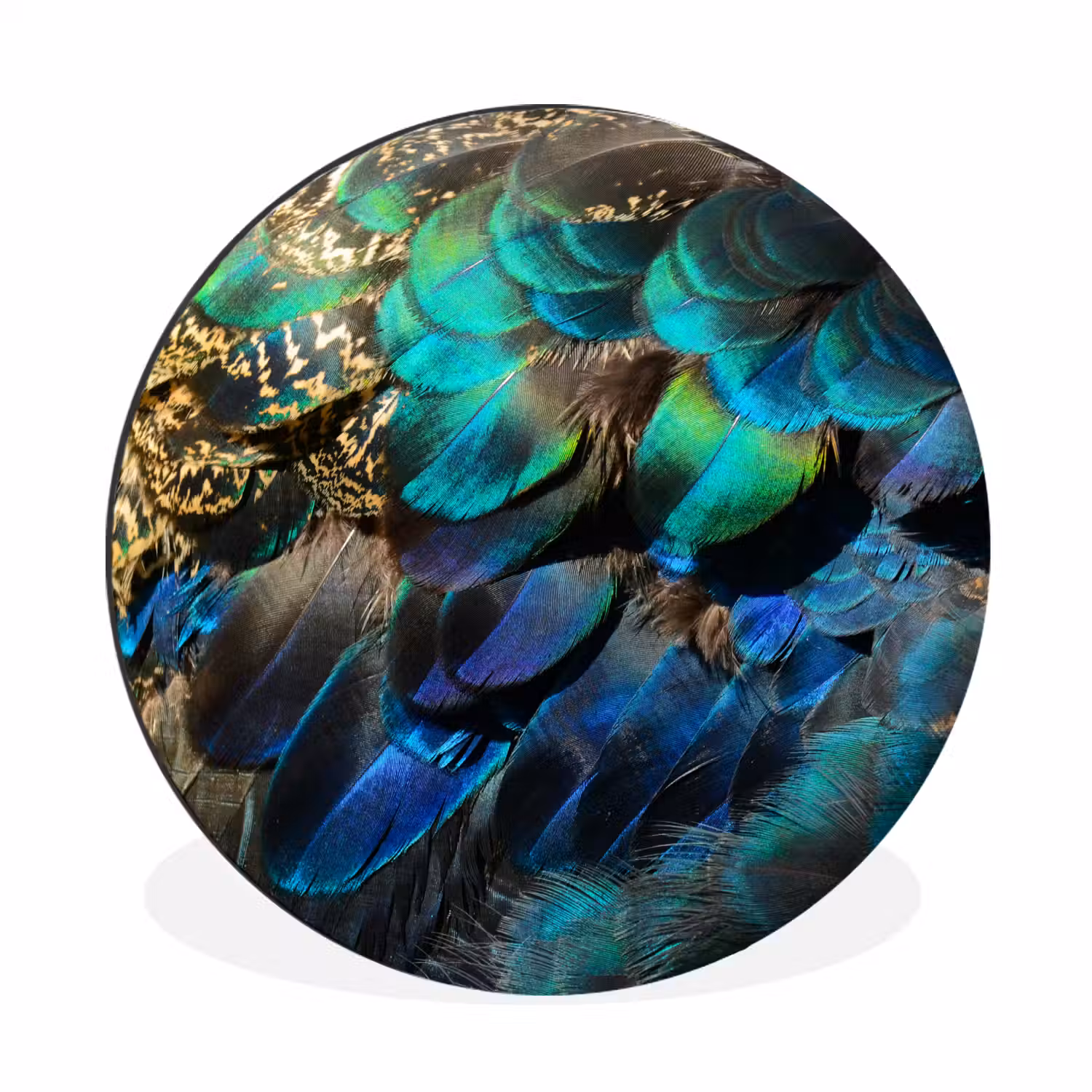 Veren - Pauwveren - Pauw - Blauw - Kunst Wandcirkel aluminium klein -3d