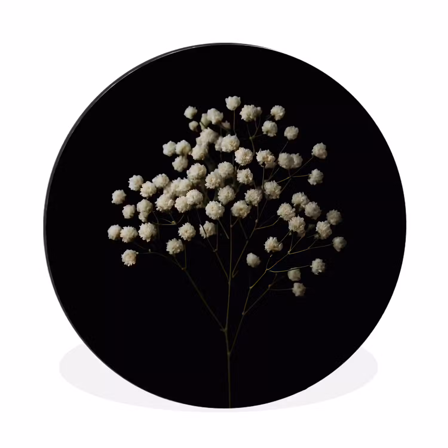 Gipskruid - Bloemetjes - Wit - Minimalistisch Wandcirkel aluminium klein -3d